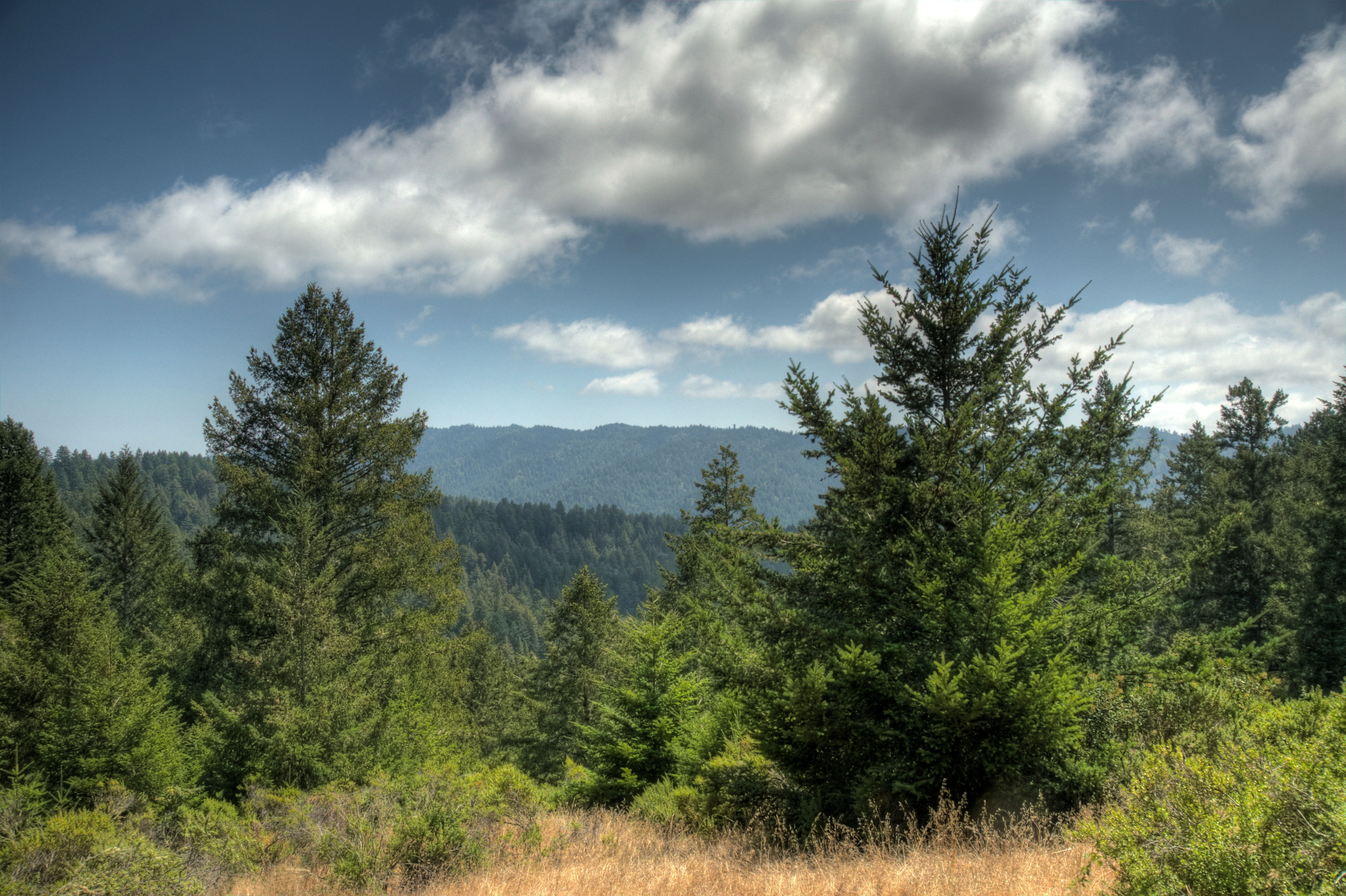 Brooks Trail views of the Pescadero Creek watershed.