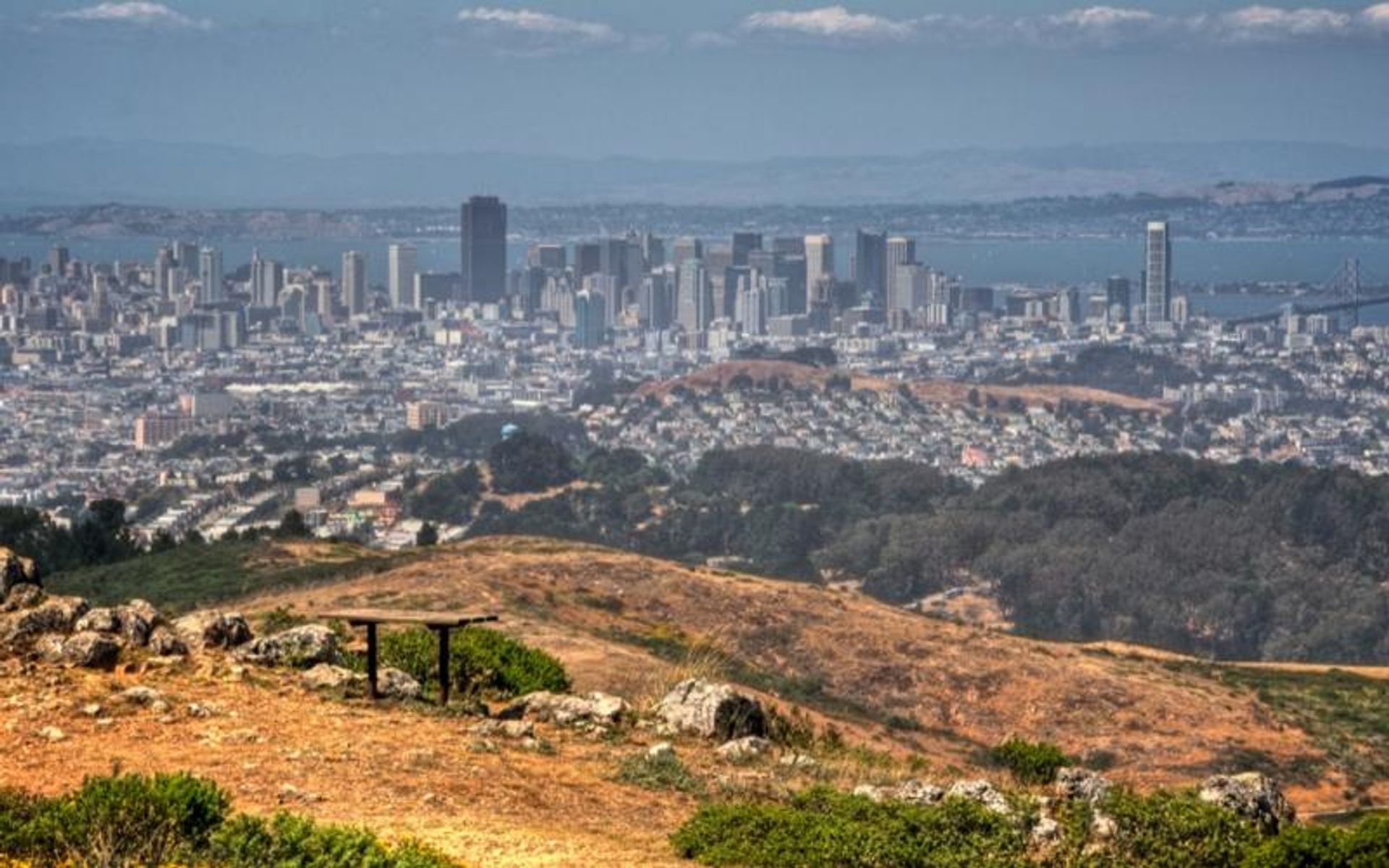 Spectacular views of San Francisco from all over the mountain.
