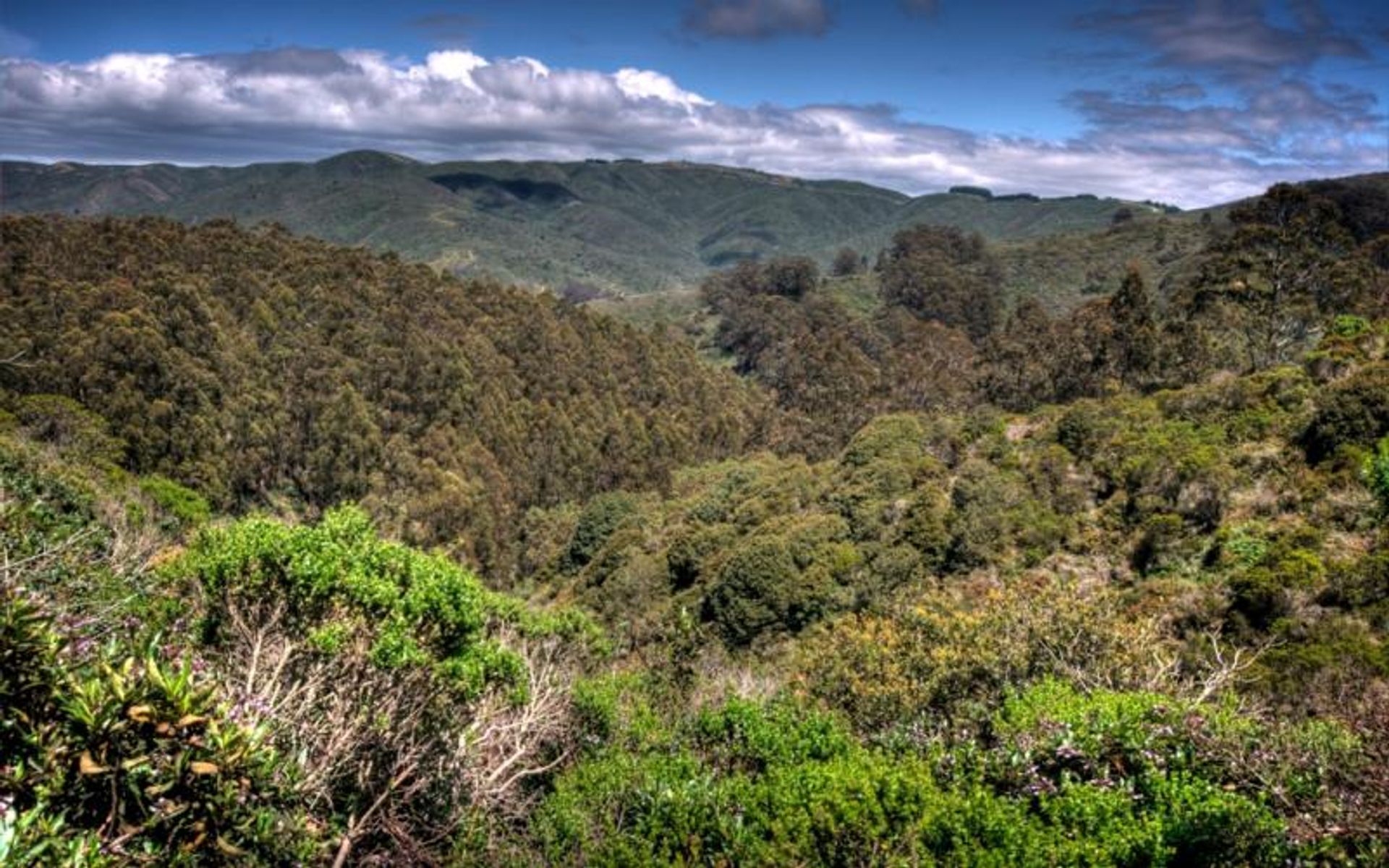 San Pedro Valley views