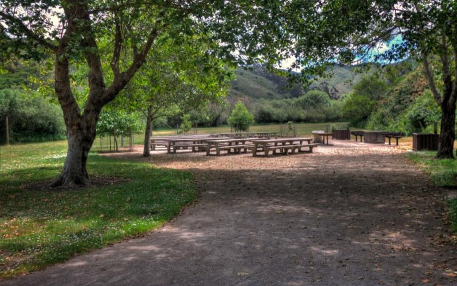 The Walnut Grove Picnic Area is a great place to spot wildlife.