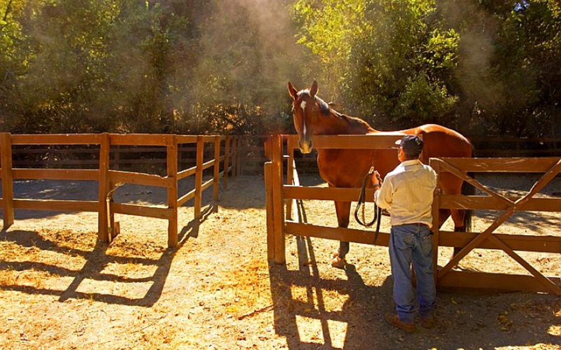 Horses are boarded at Wunderlich Park. 