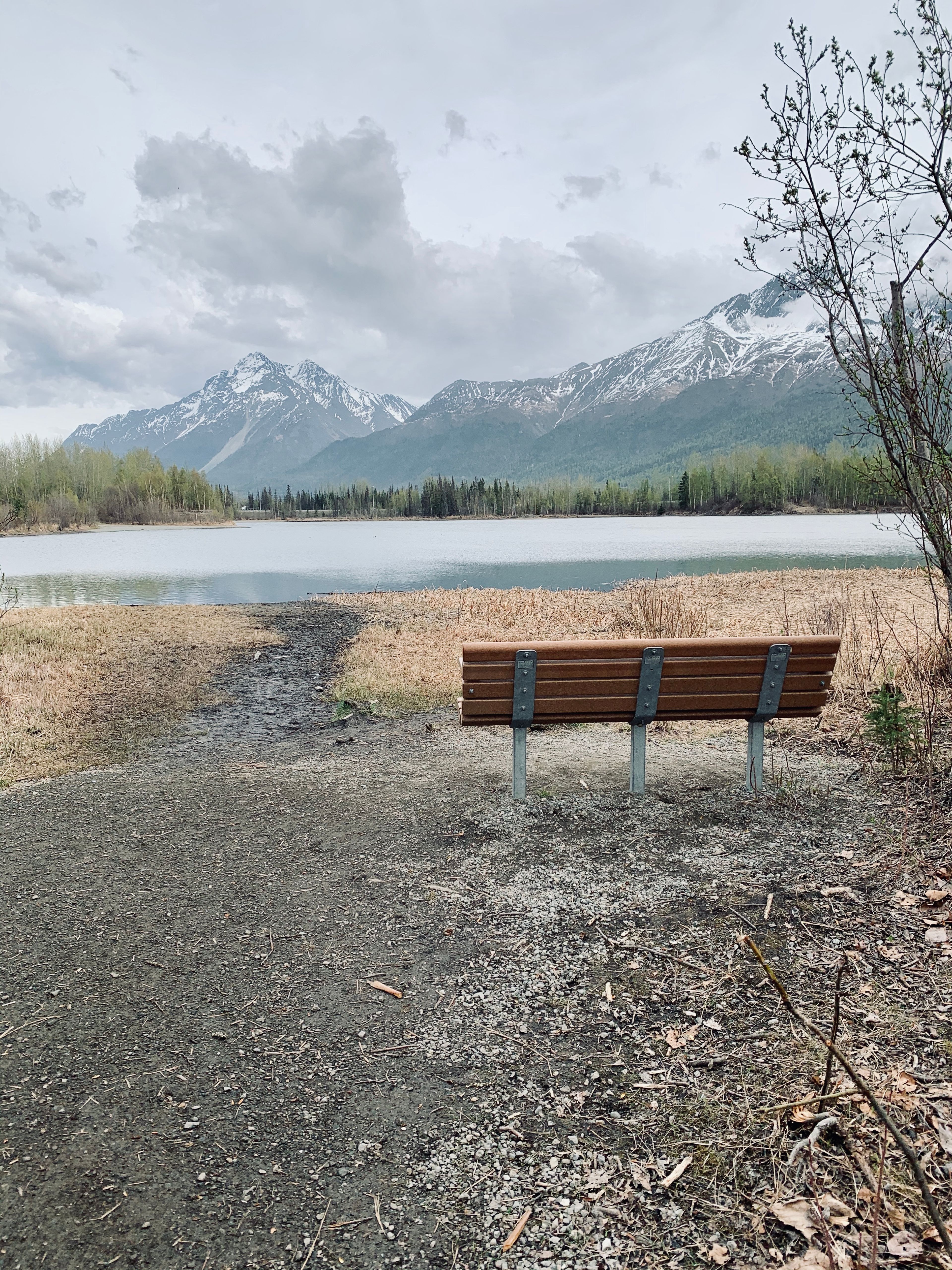 Reflections Lake Bench View