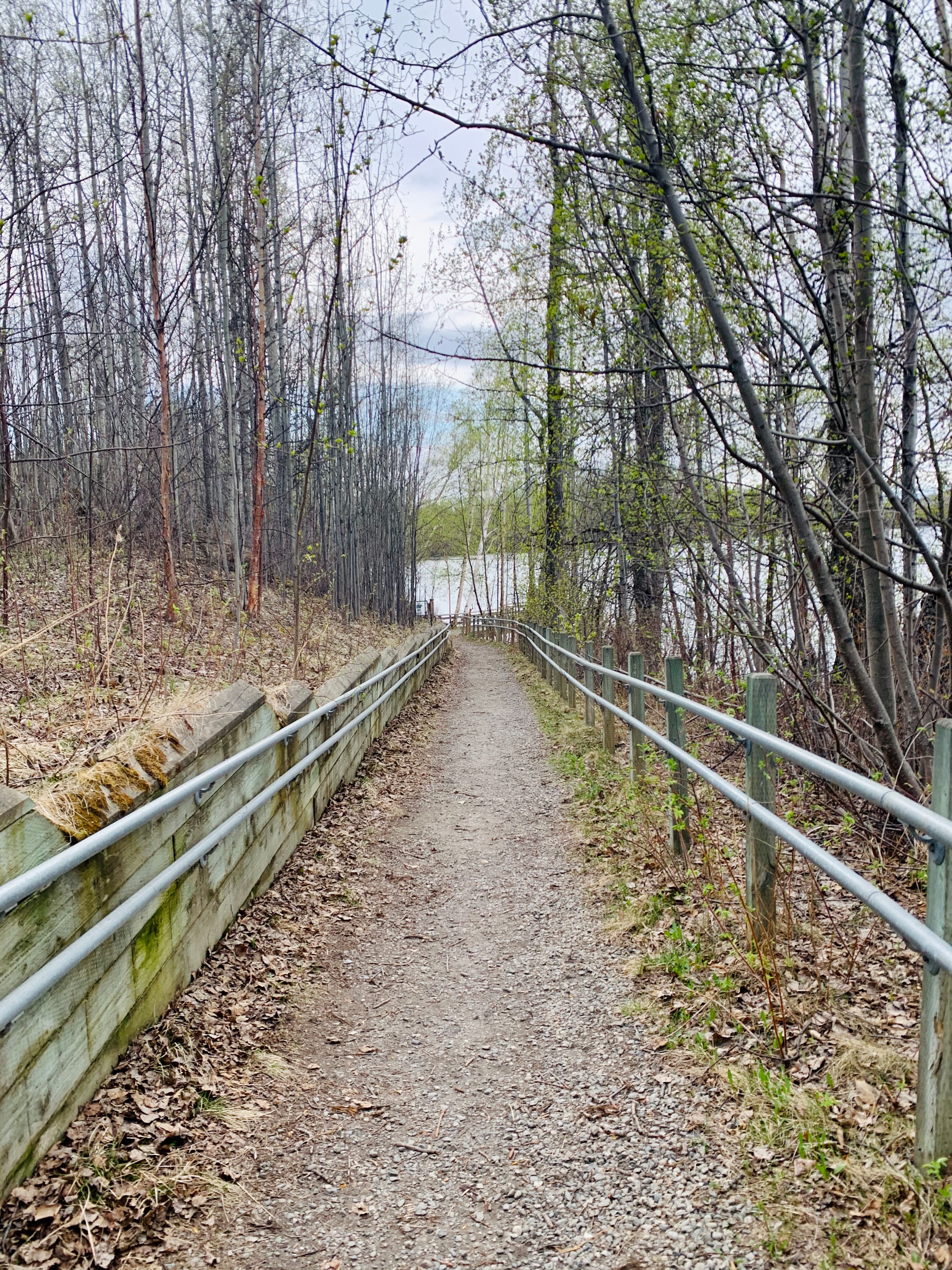 Matanuska Lake Trail to Dock