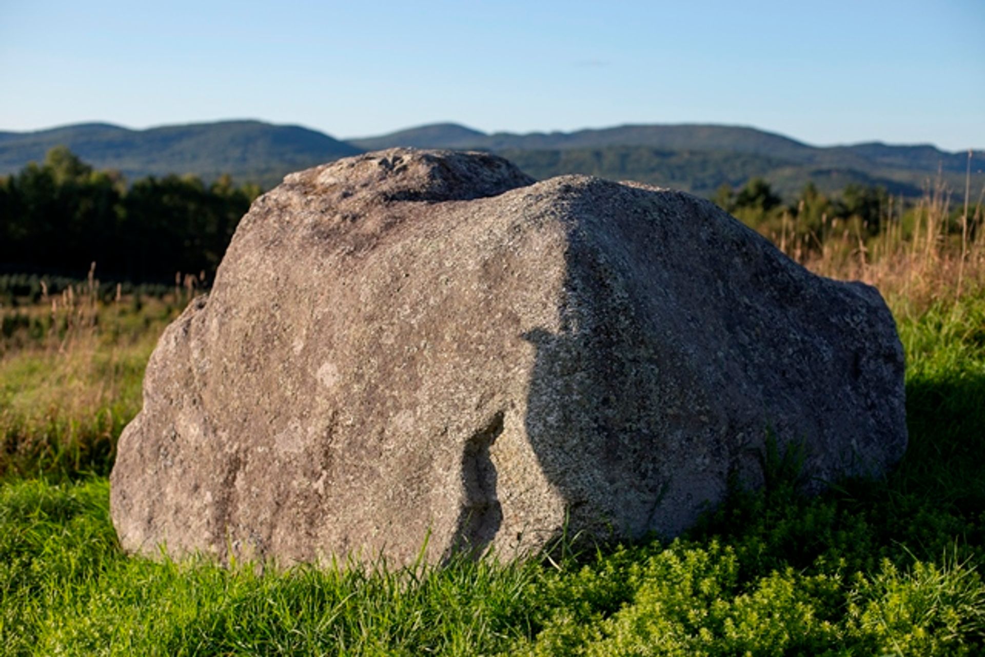 A large boulder in the field.