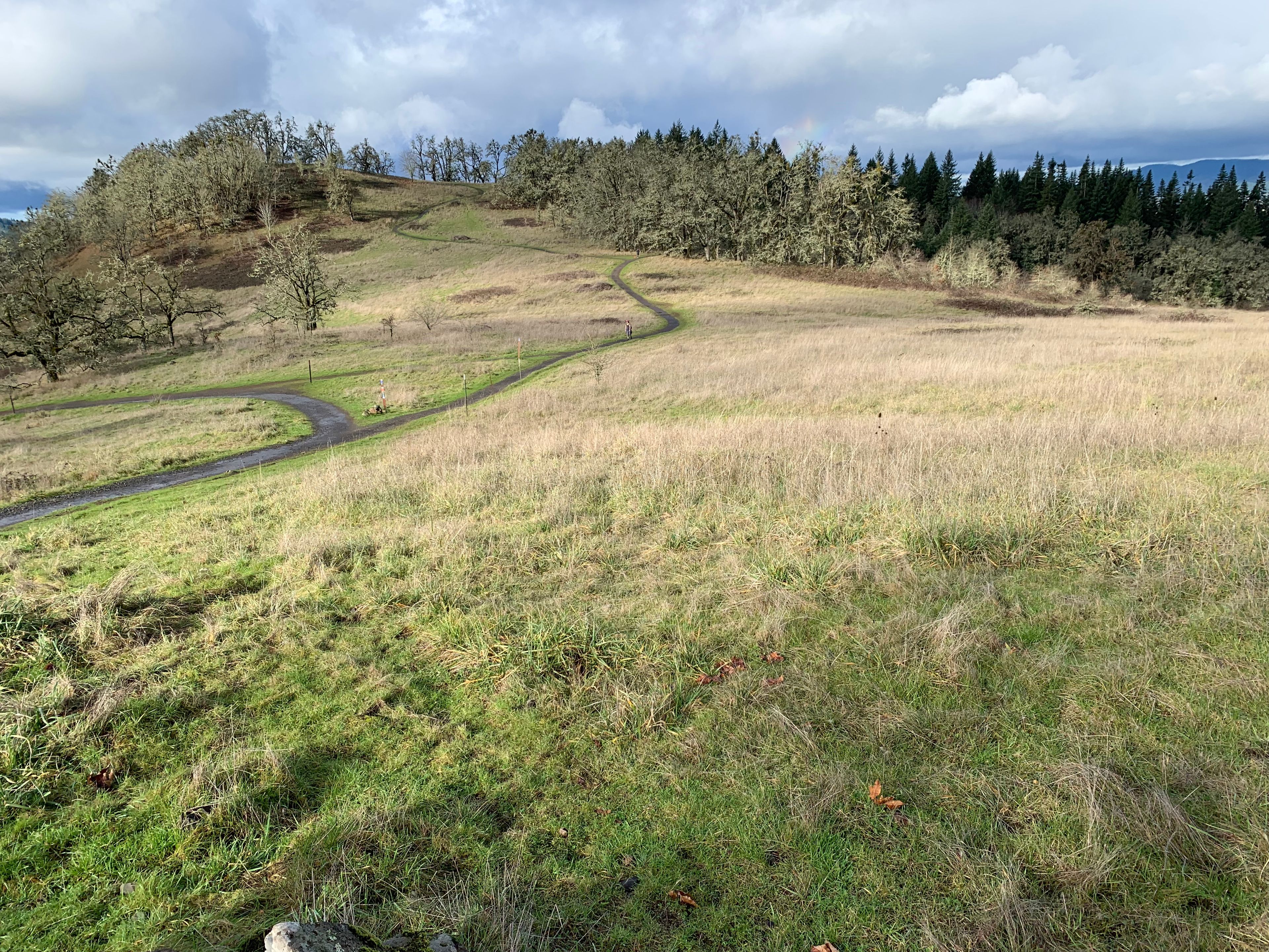 Trail 3 on the Bridge Bowl Saddle with Trail 7 Junction on the Left and Swing Hill in the Distance