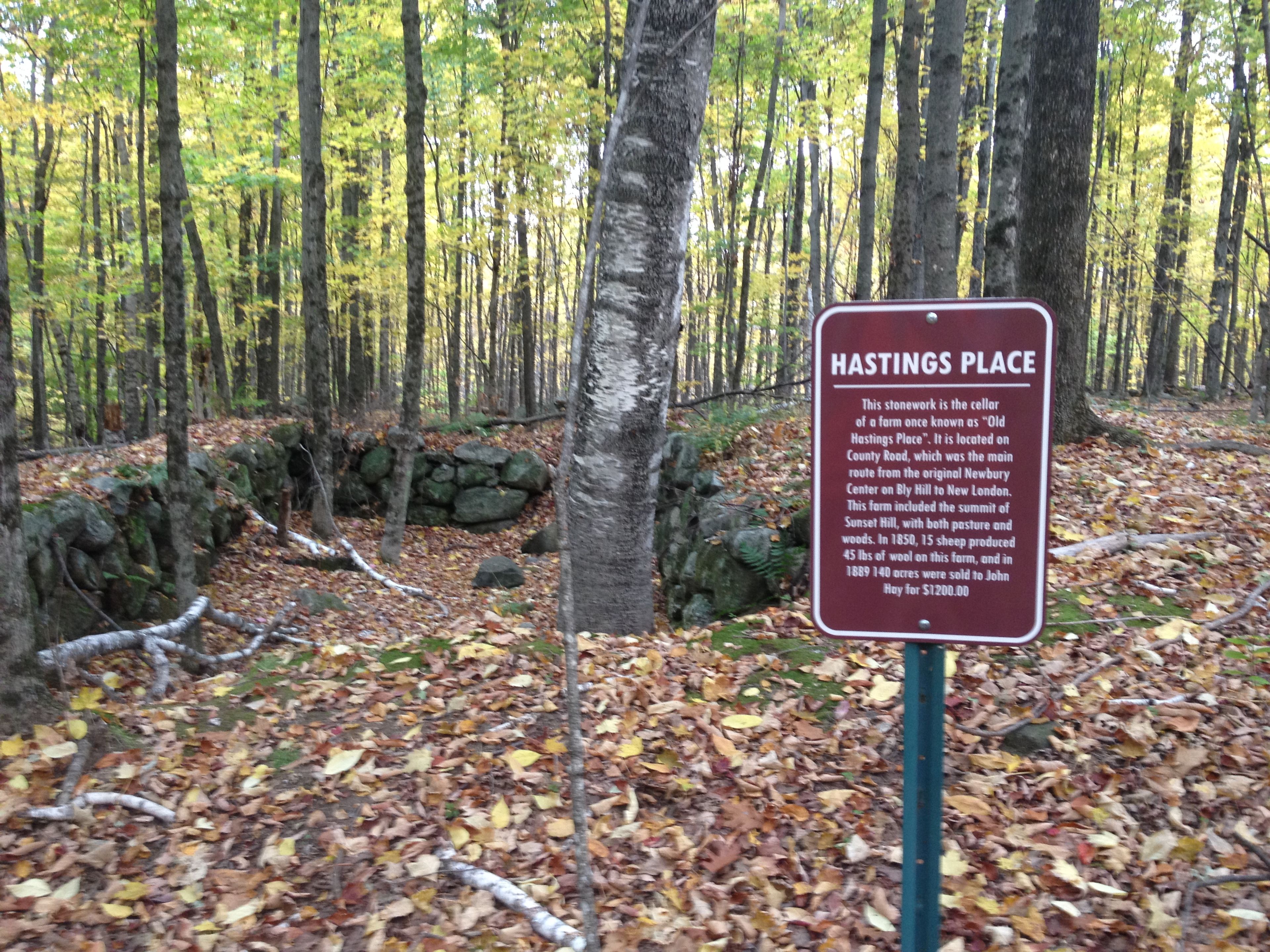 A sign for Hastings Place, marked by historic stonework.