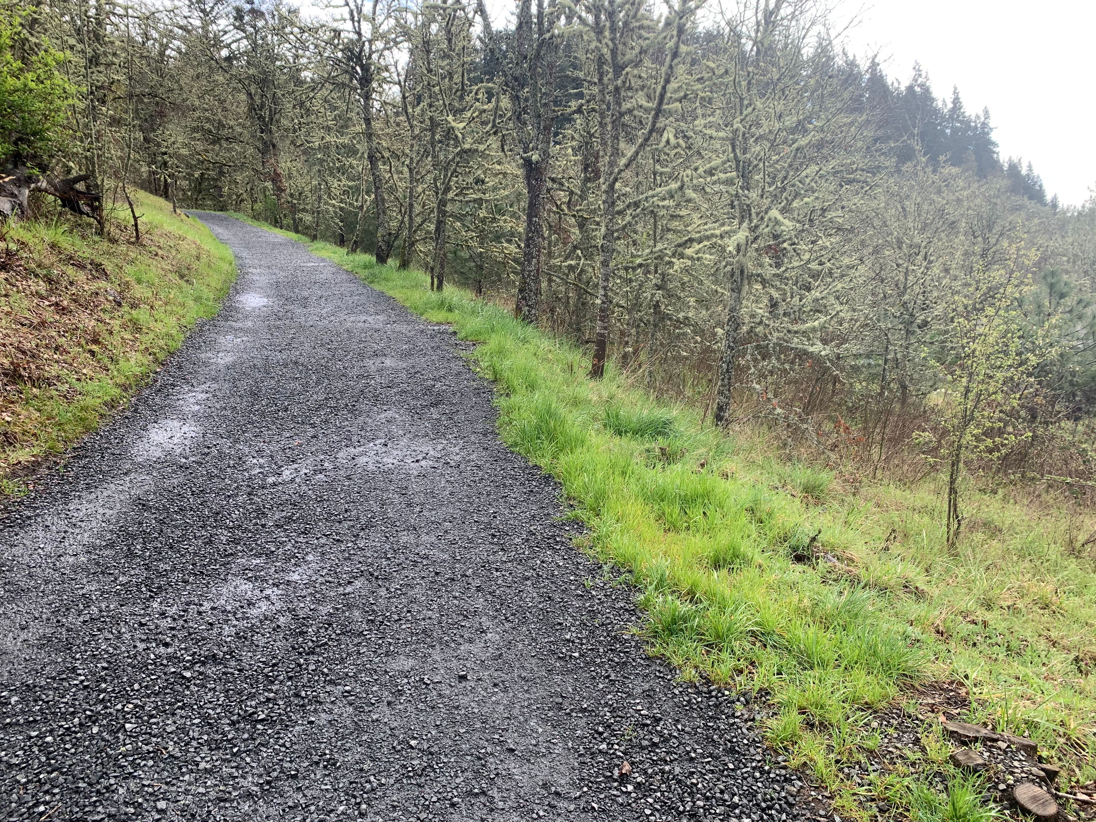 Trail 1 Just Above West Trailhead