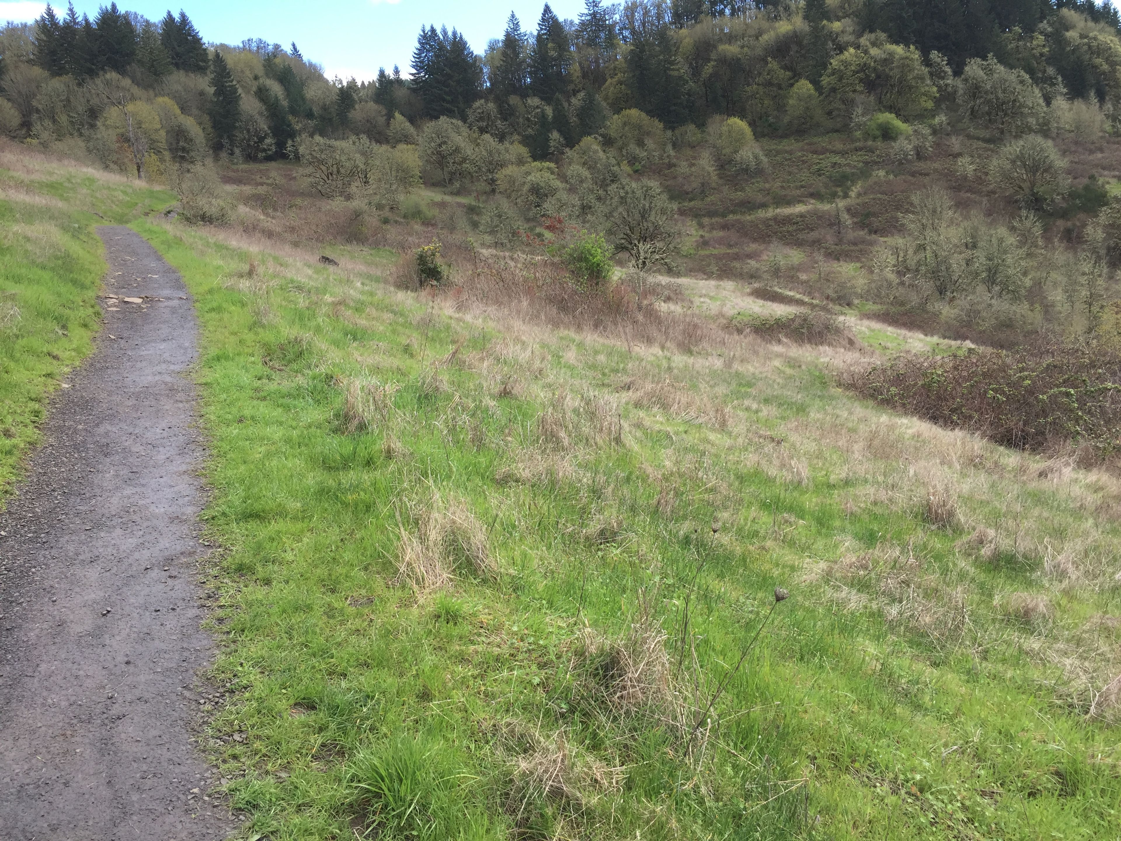 Trail 7 and Bridge Bowl