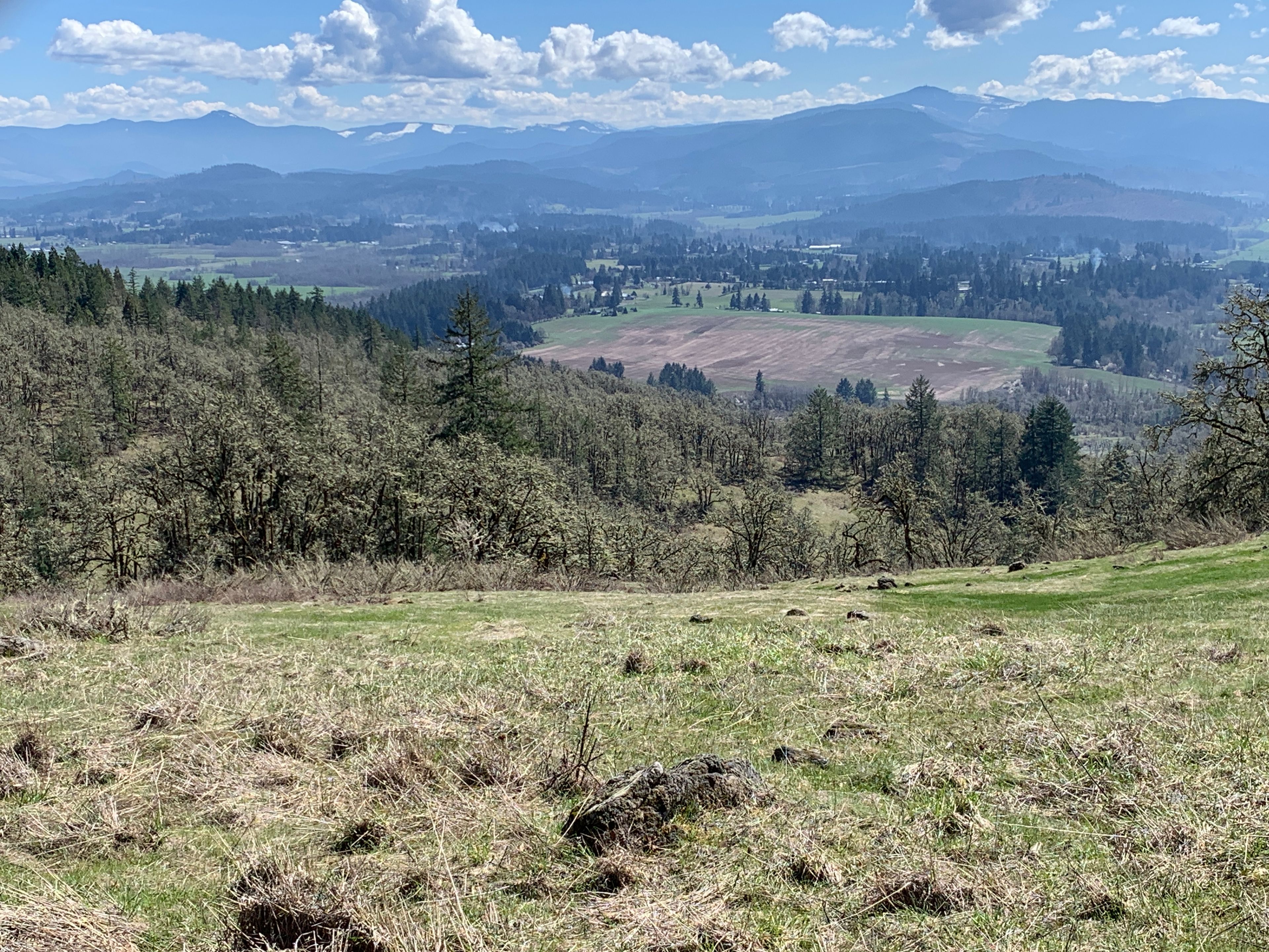 Trail 2 - View of the Western Cascades