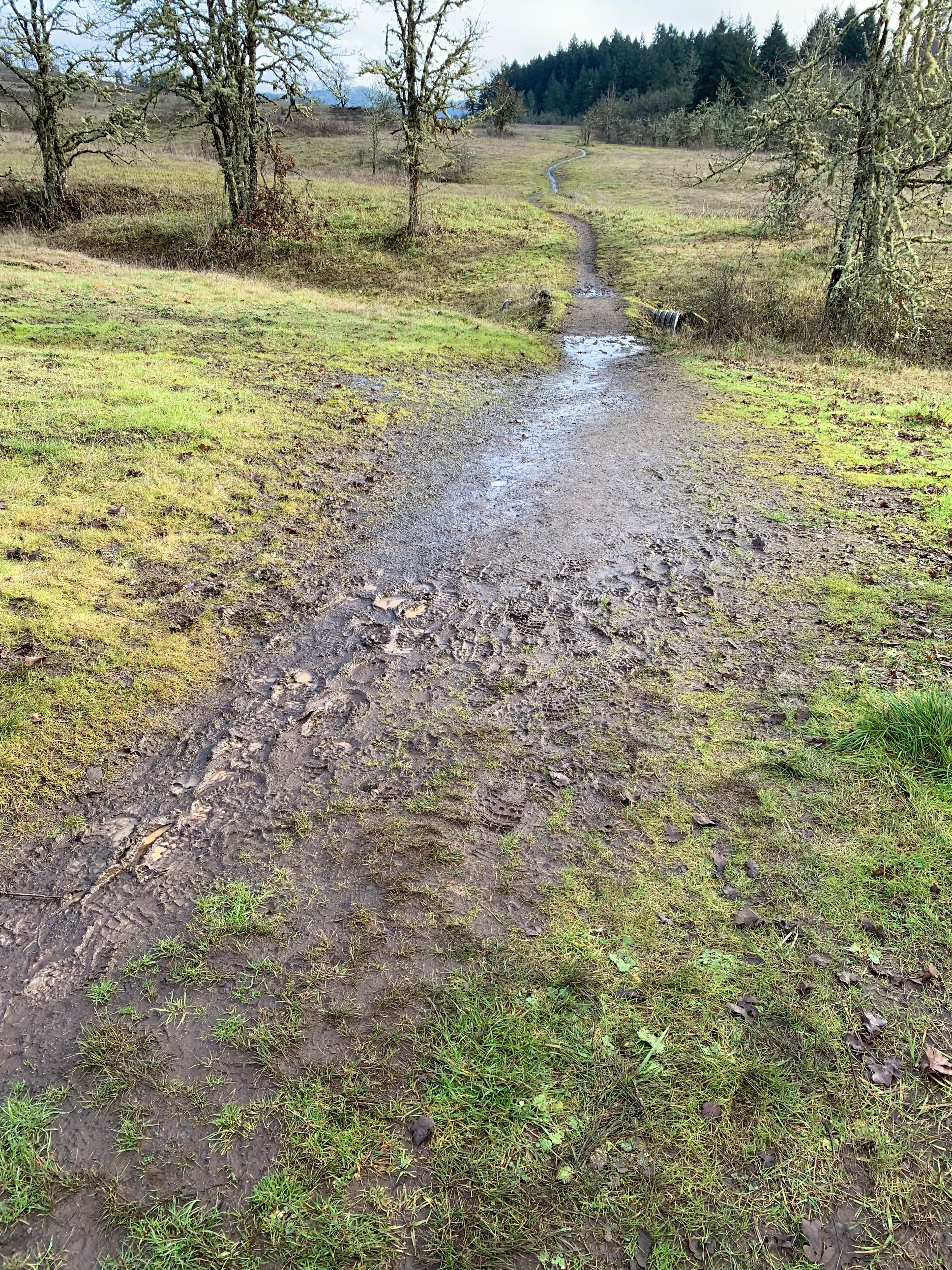 East Trail 3 in the Wet Season