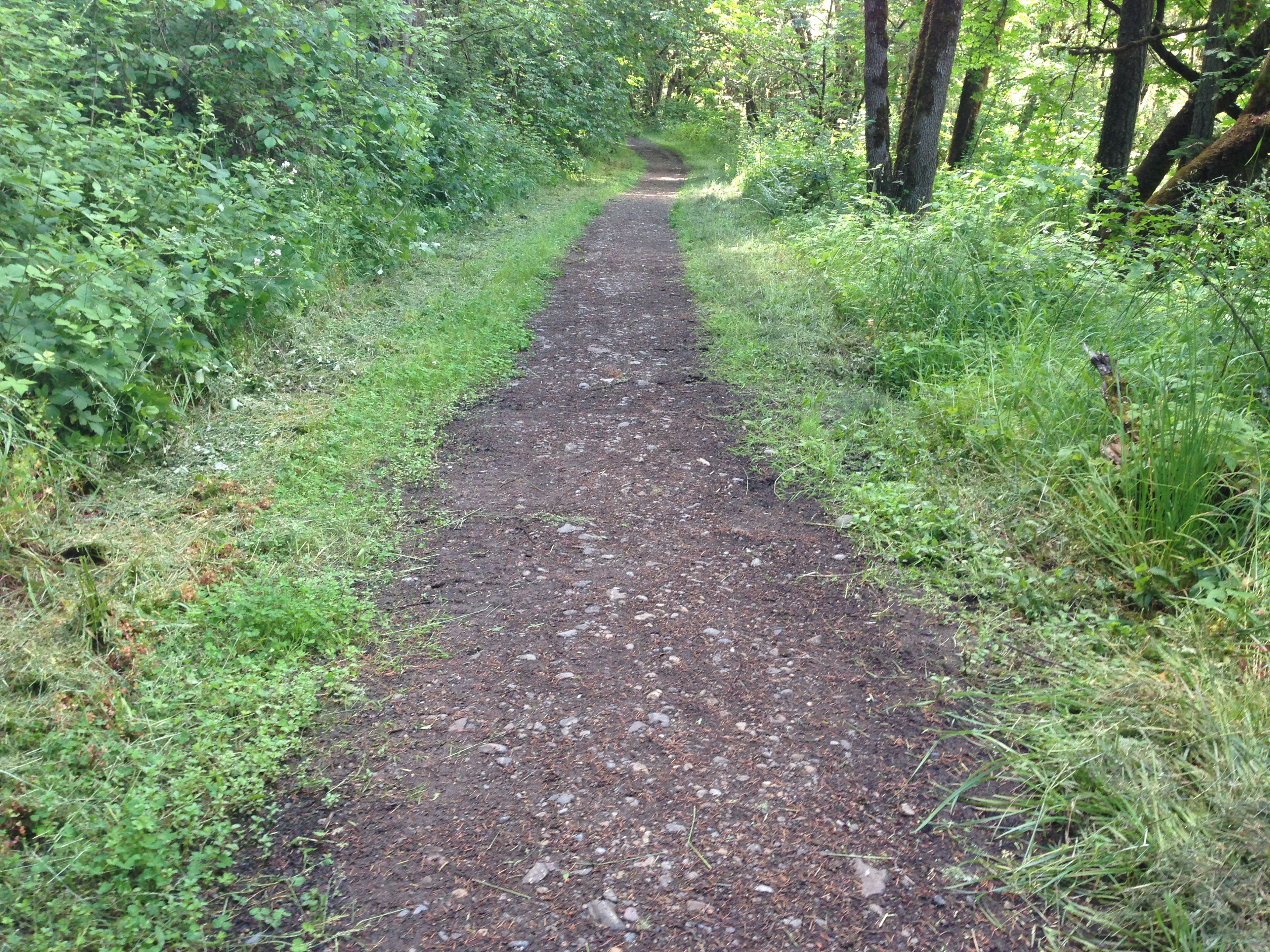 Trail 5 in the Arboretum