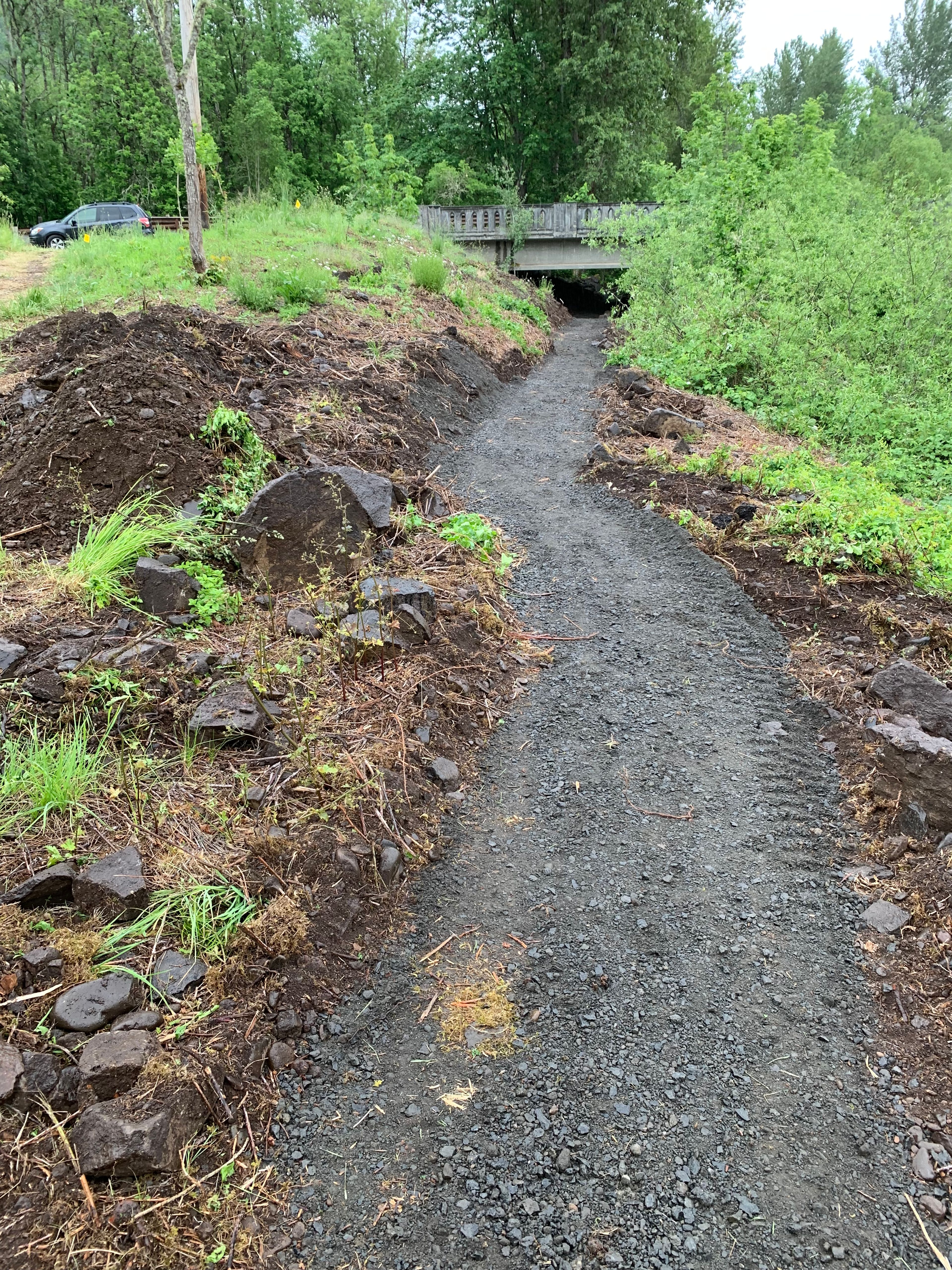 Trail 5 near the Seavey Way Bridge