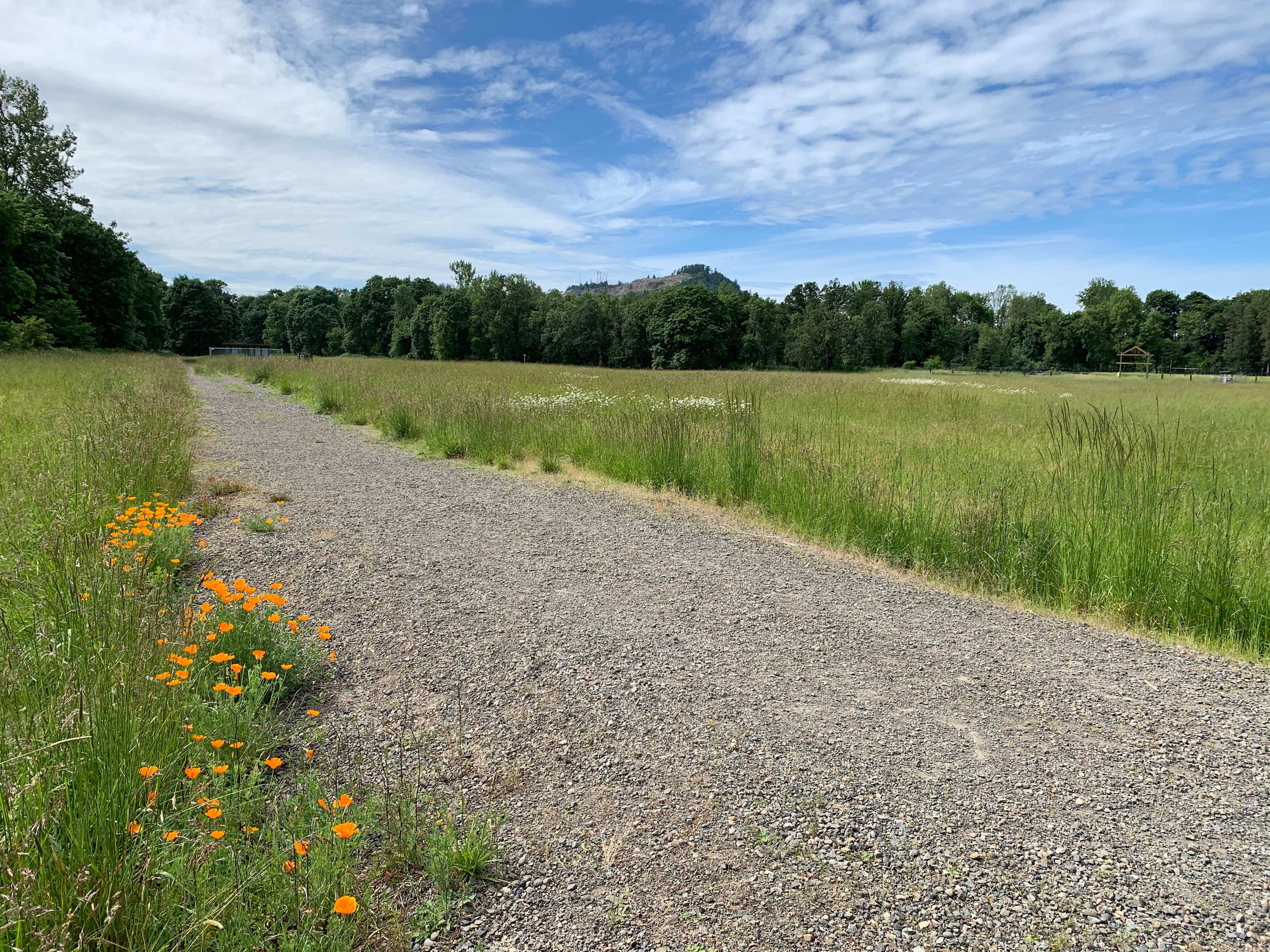 Trail 8 Along the Edge of Parrish Meadow