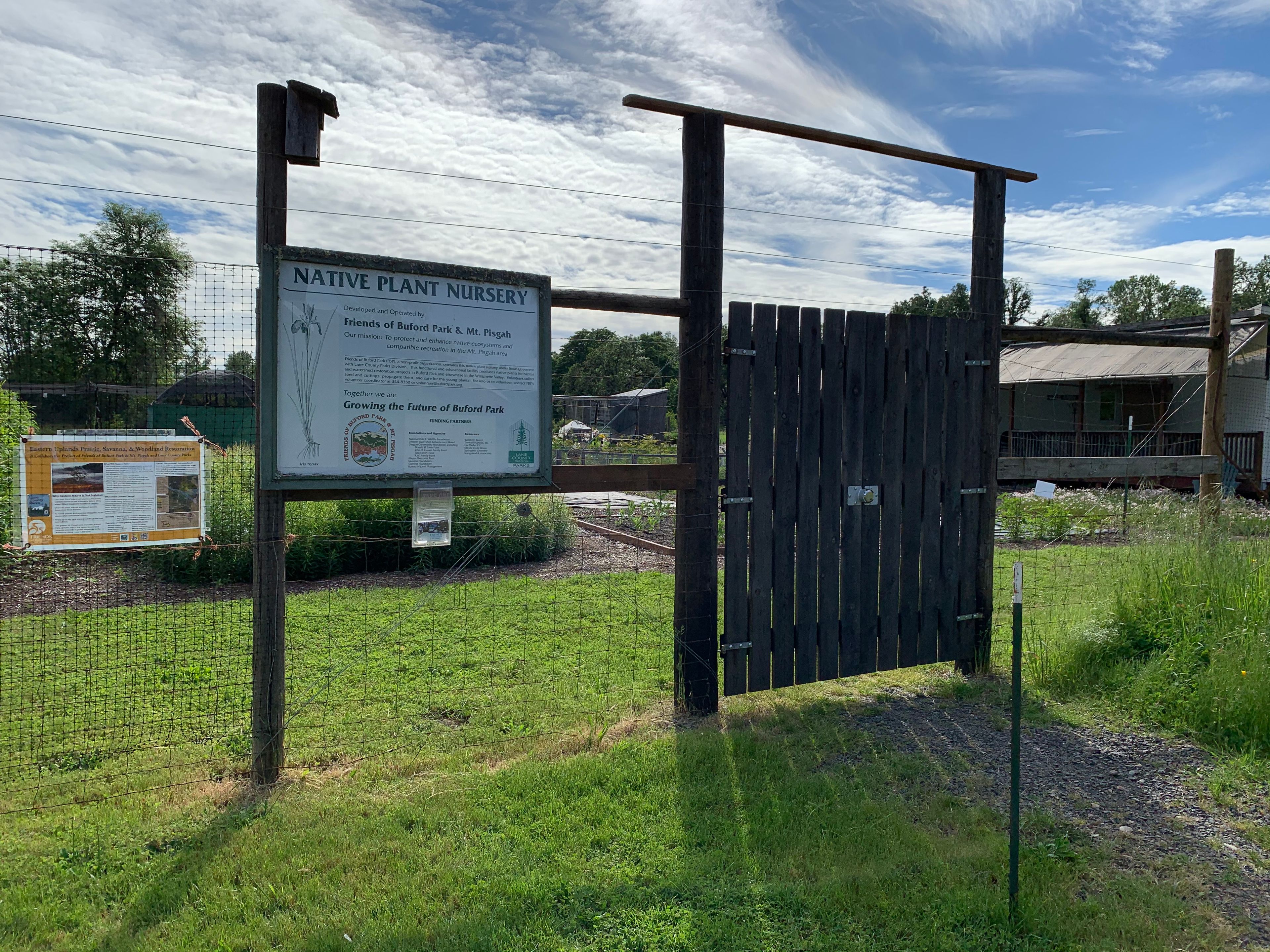 The Friends' Native Plant Nursery