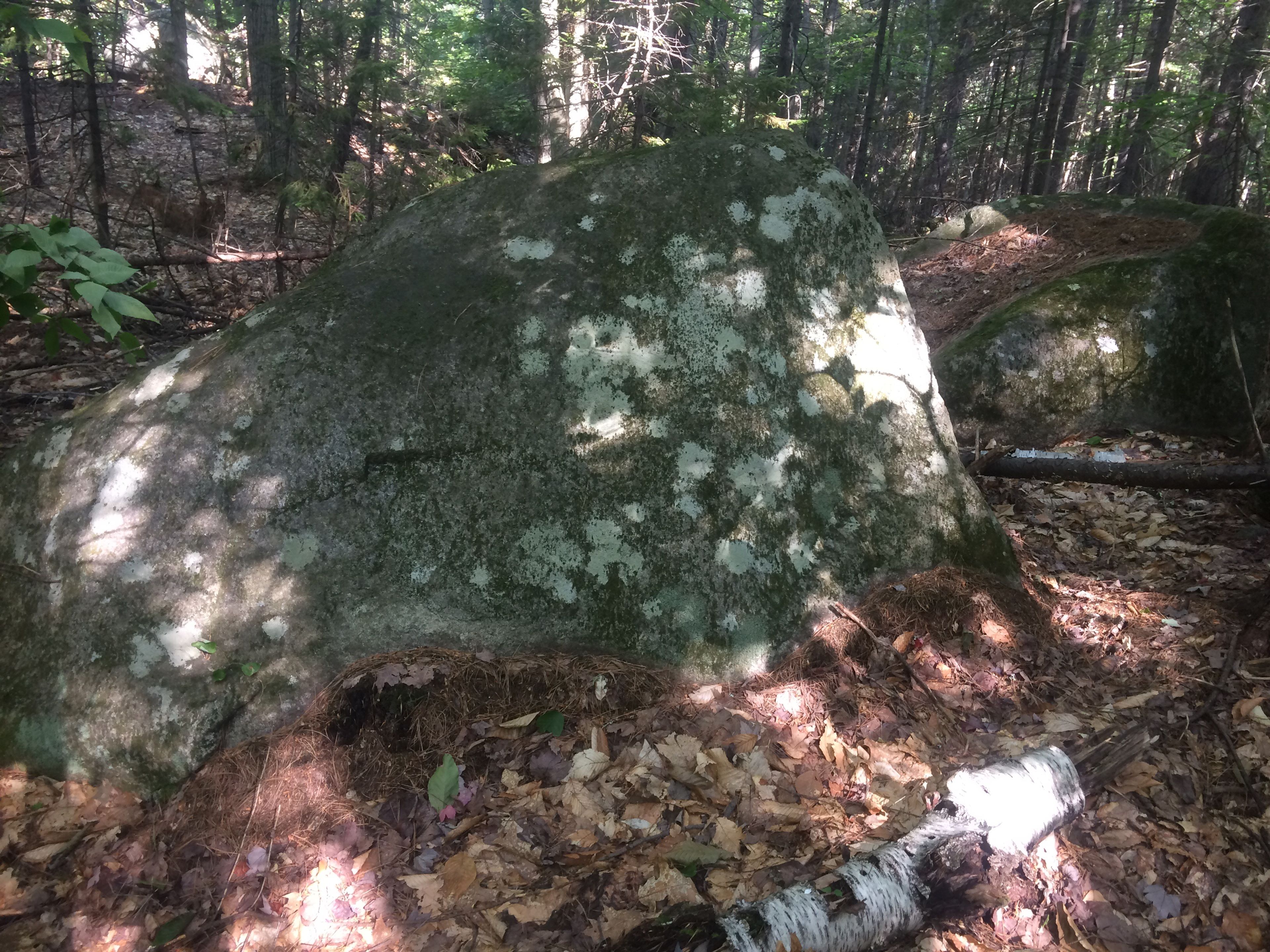 A large boulder in the forest.