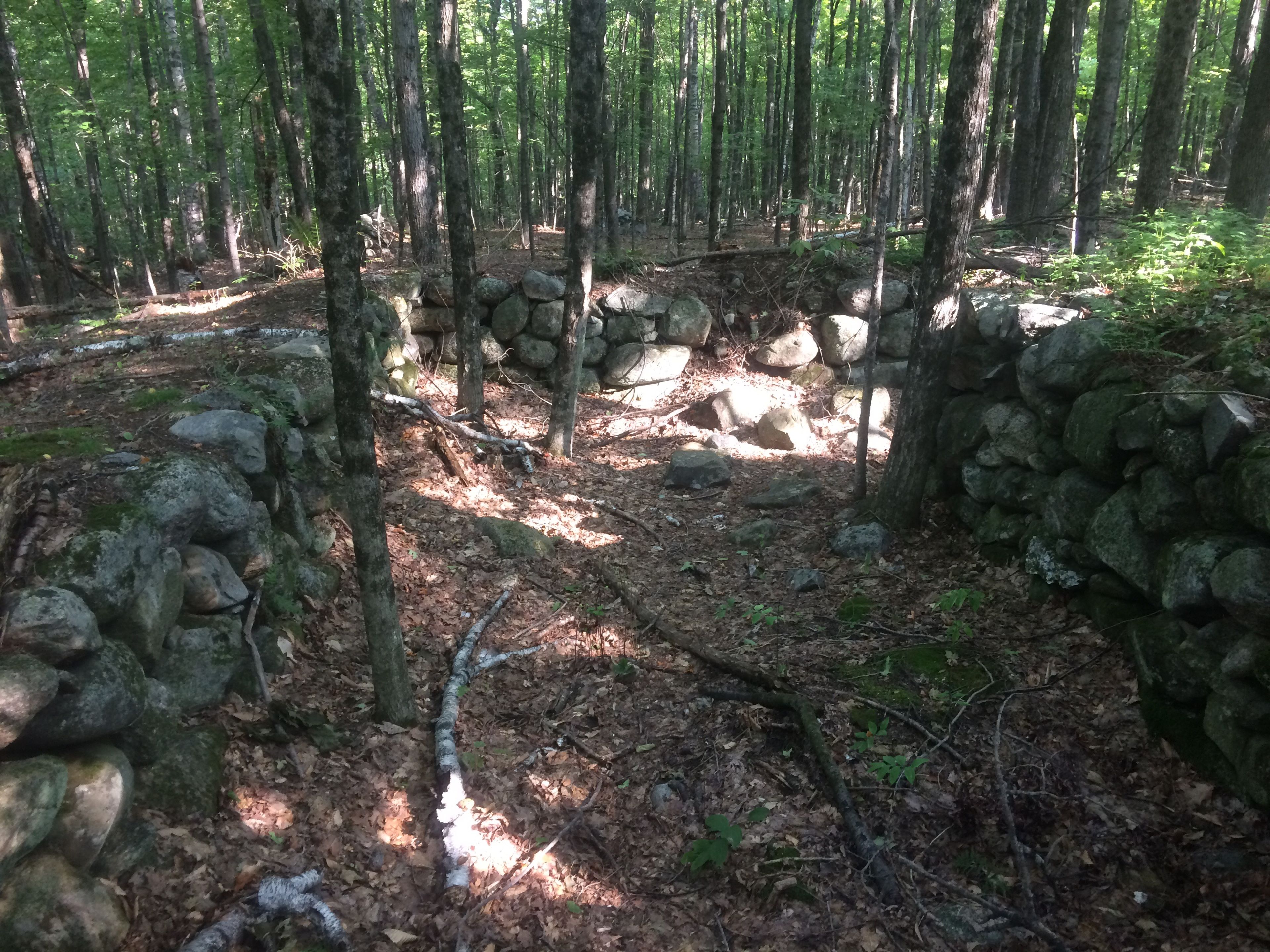 An old cellar hole in the forest.