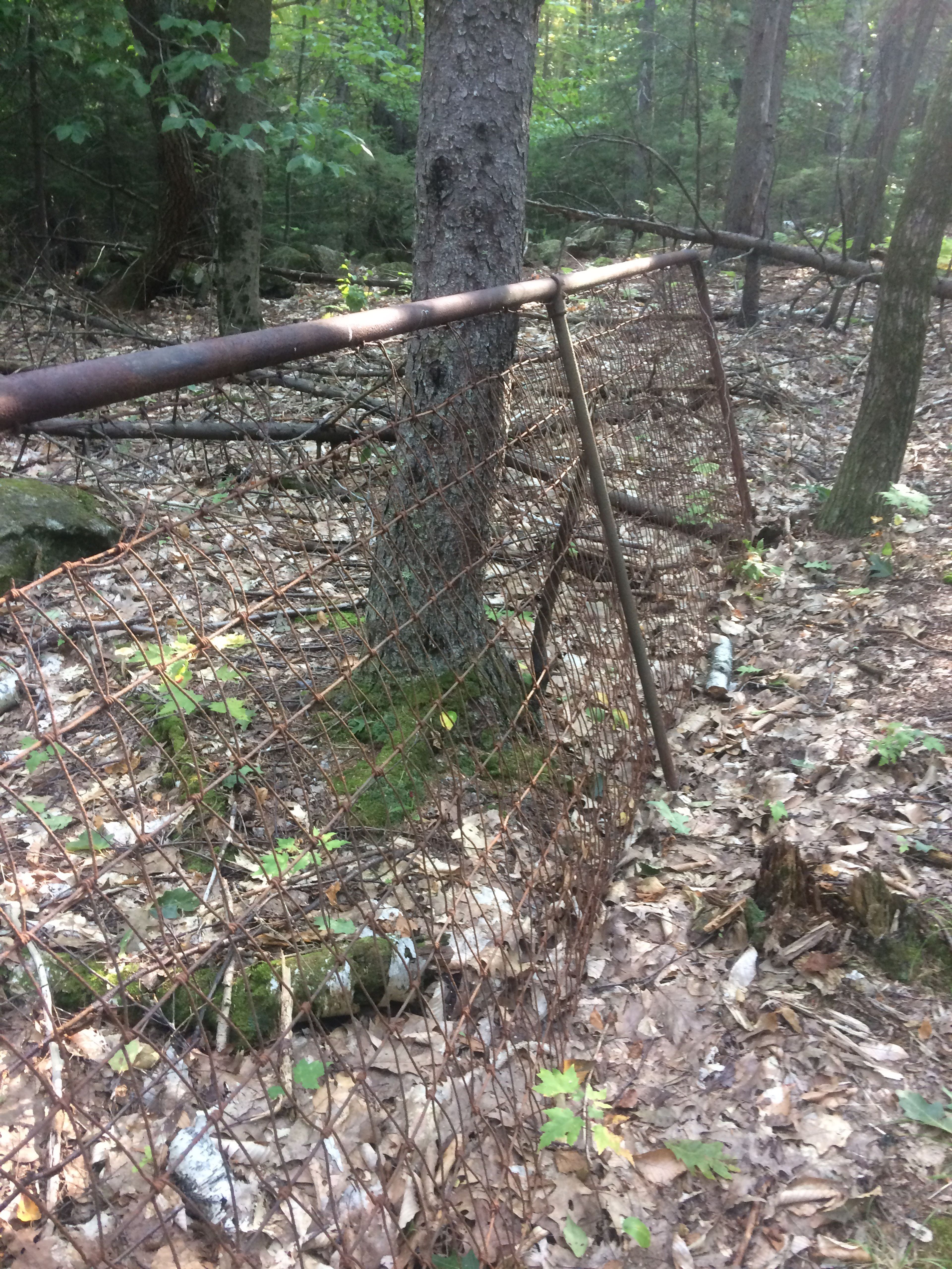 An old piece of fencing sits in the woods.