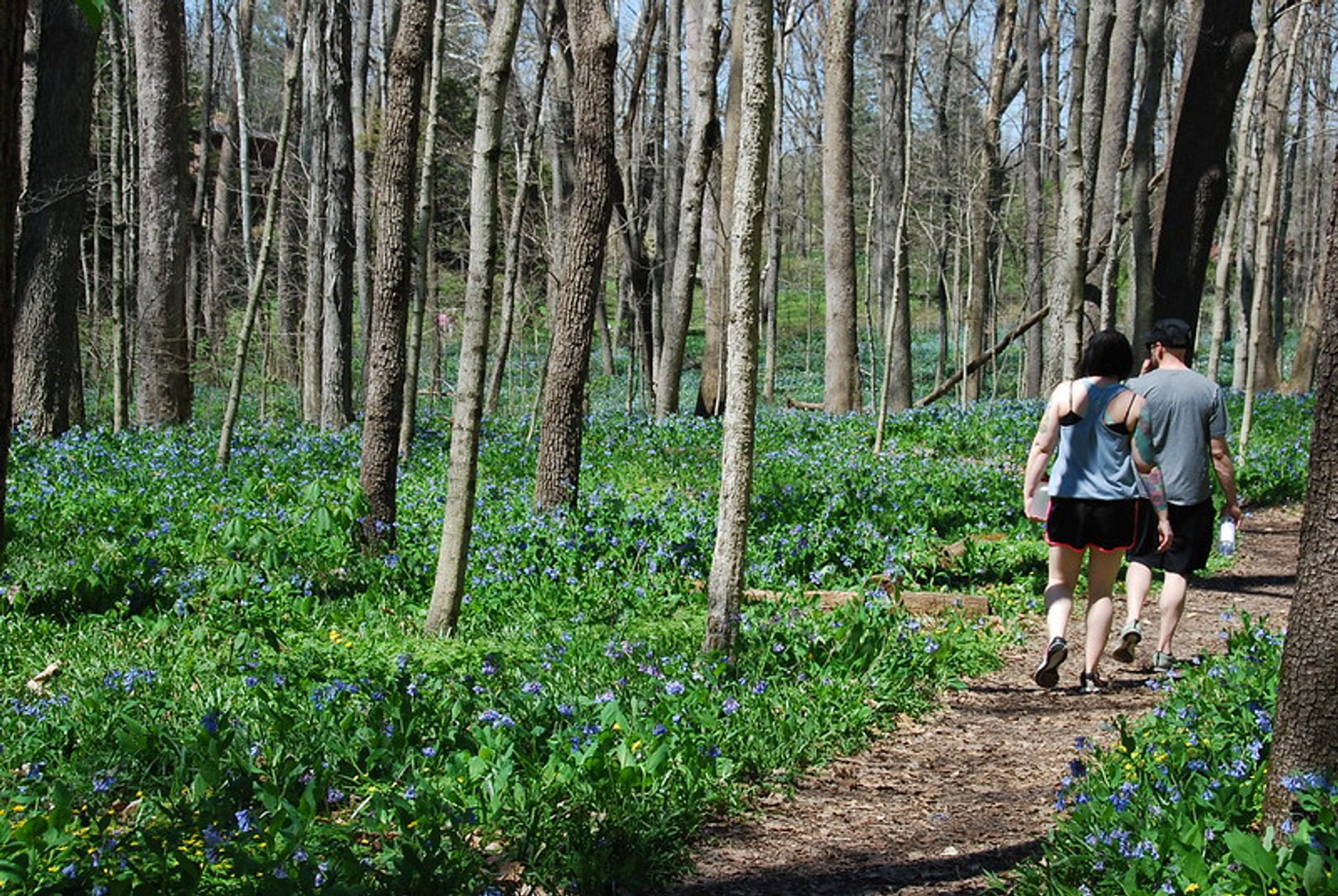 Hiking trails lead visitors through a wooded garden.