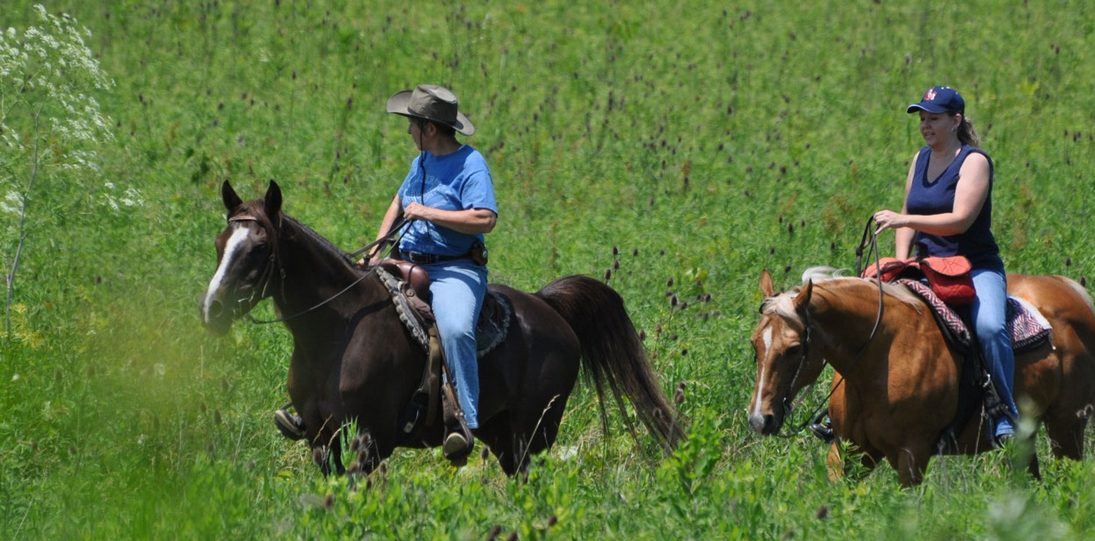 carriage Hill MetroPark includes horse trails and a Riding Center.