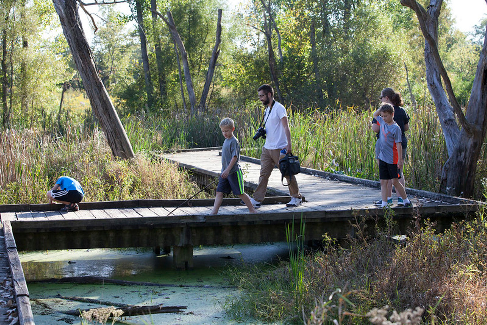 Boardwalk at Carriage Hill