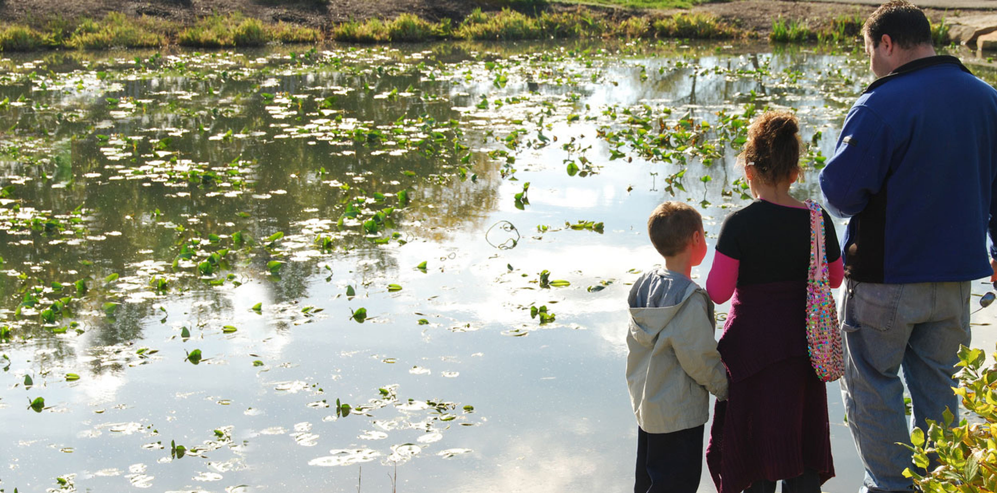 places-cox-arboretum-slider-family-pond.jpg