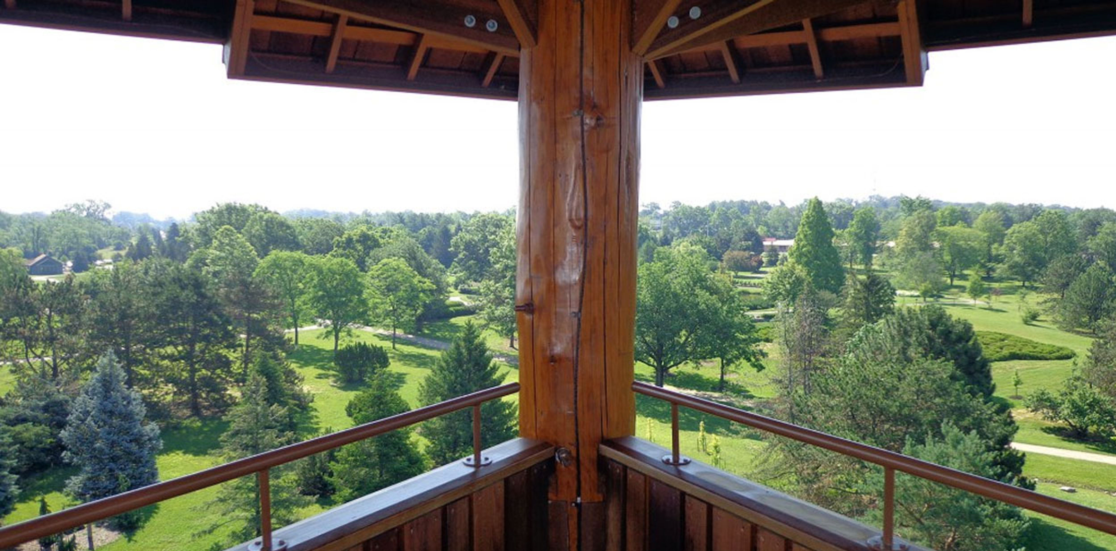 places-cox-arboretum-slider-tree-tower.jpg