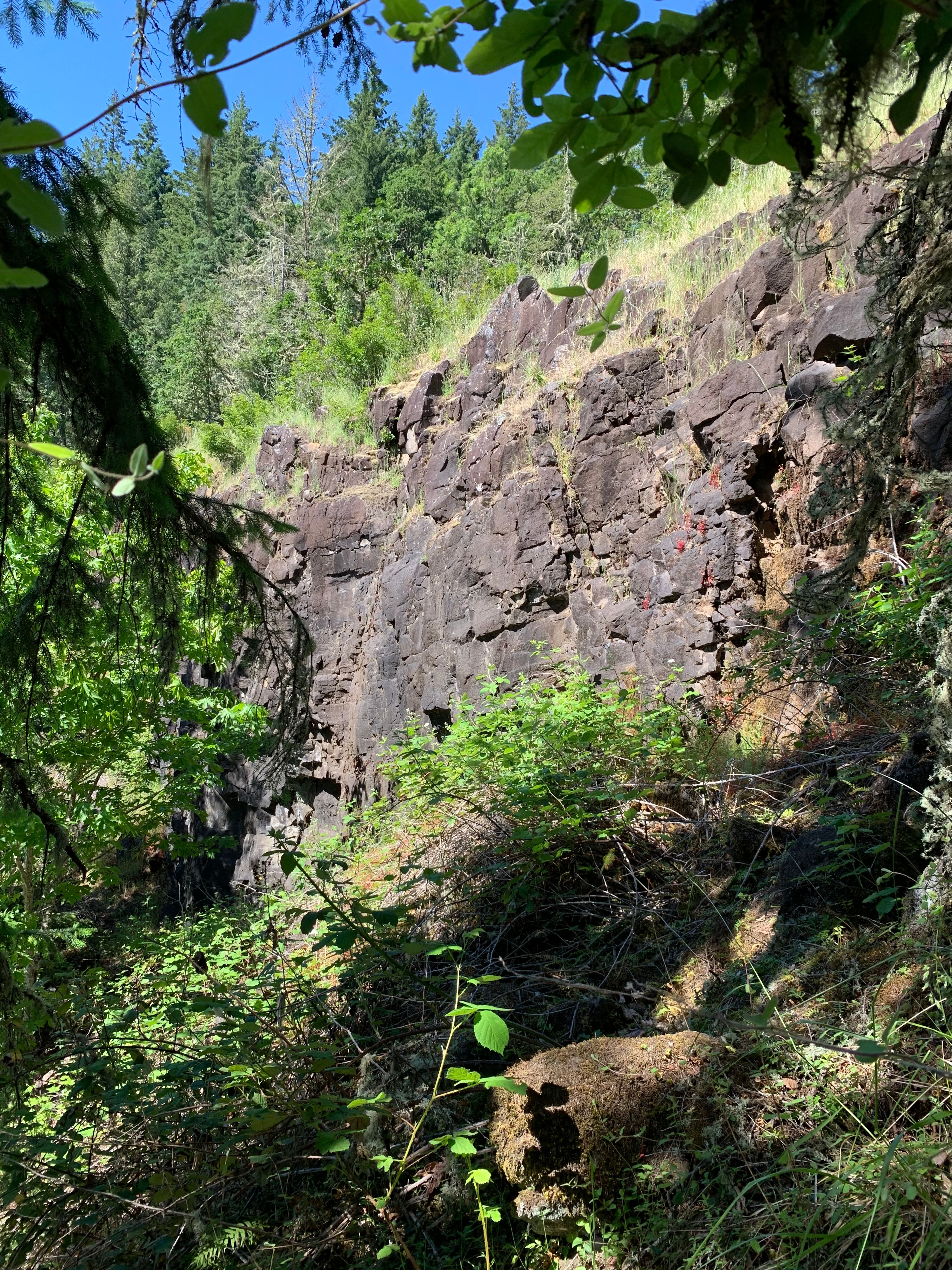 Exposed Basalt Bedrock in Quarry Face