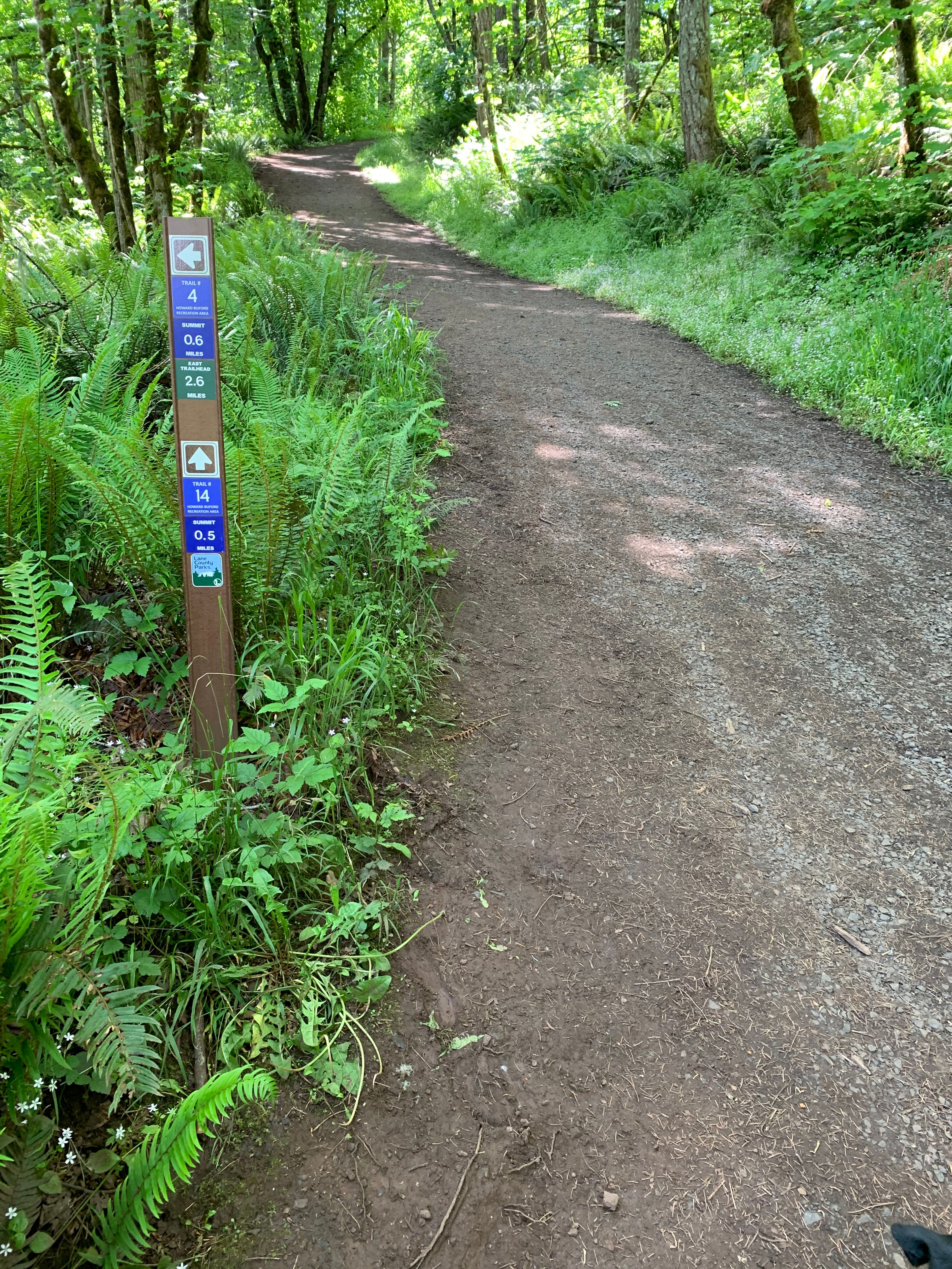 Junction of Trail 4 and Trail 14 (the very steep grade leading up to Trail 1)