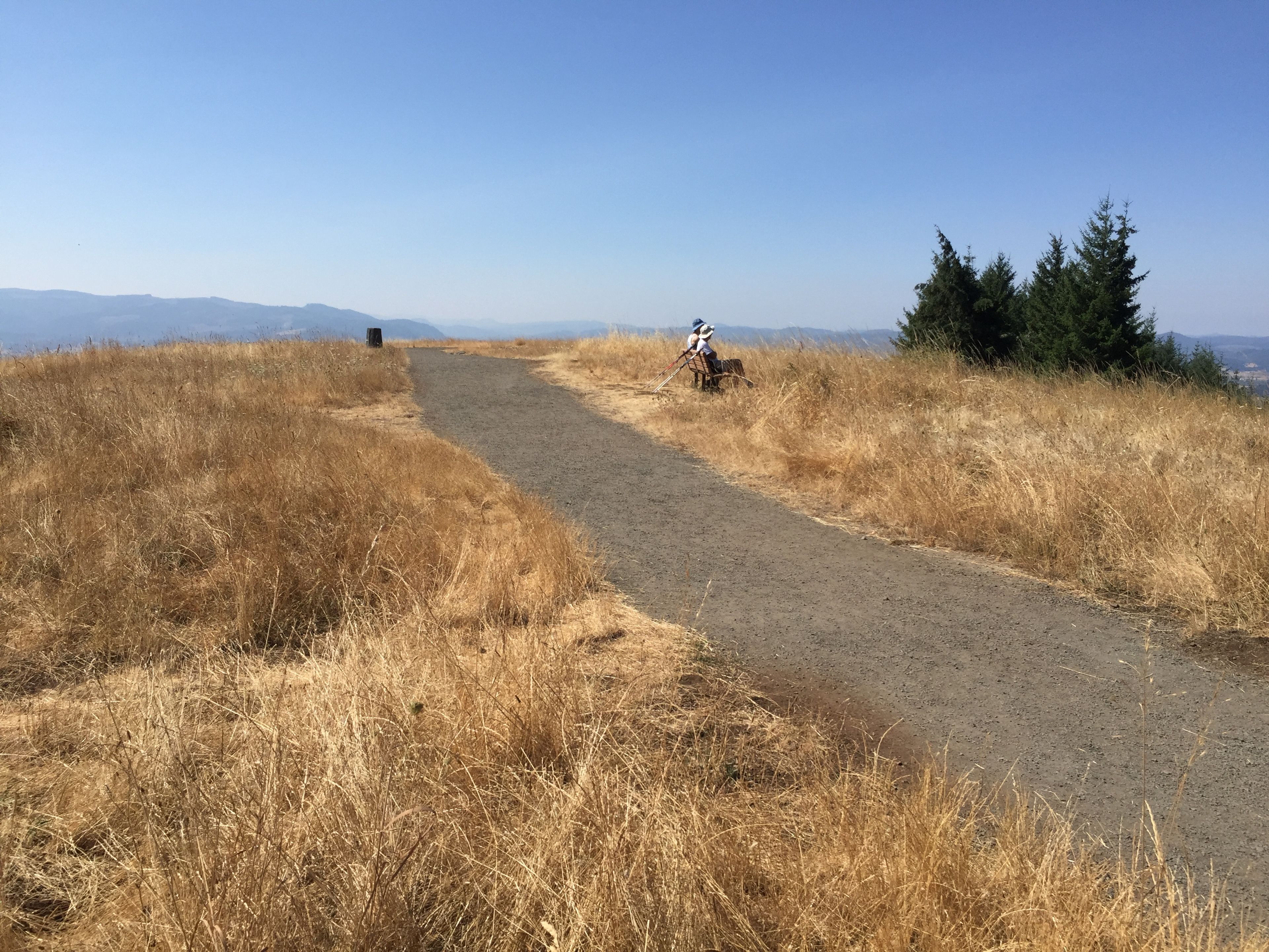 Trail 1 Leading up to the Summit in the Summer