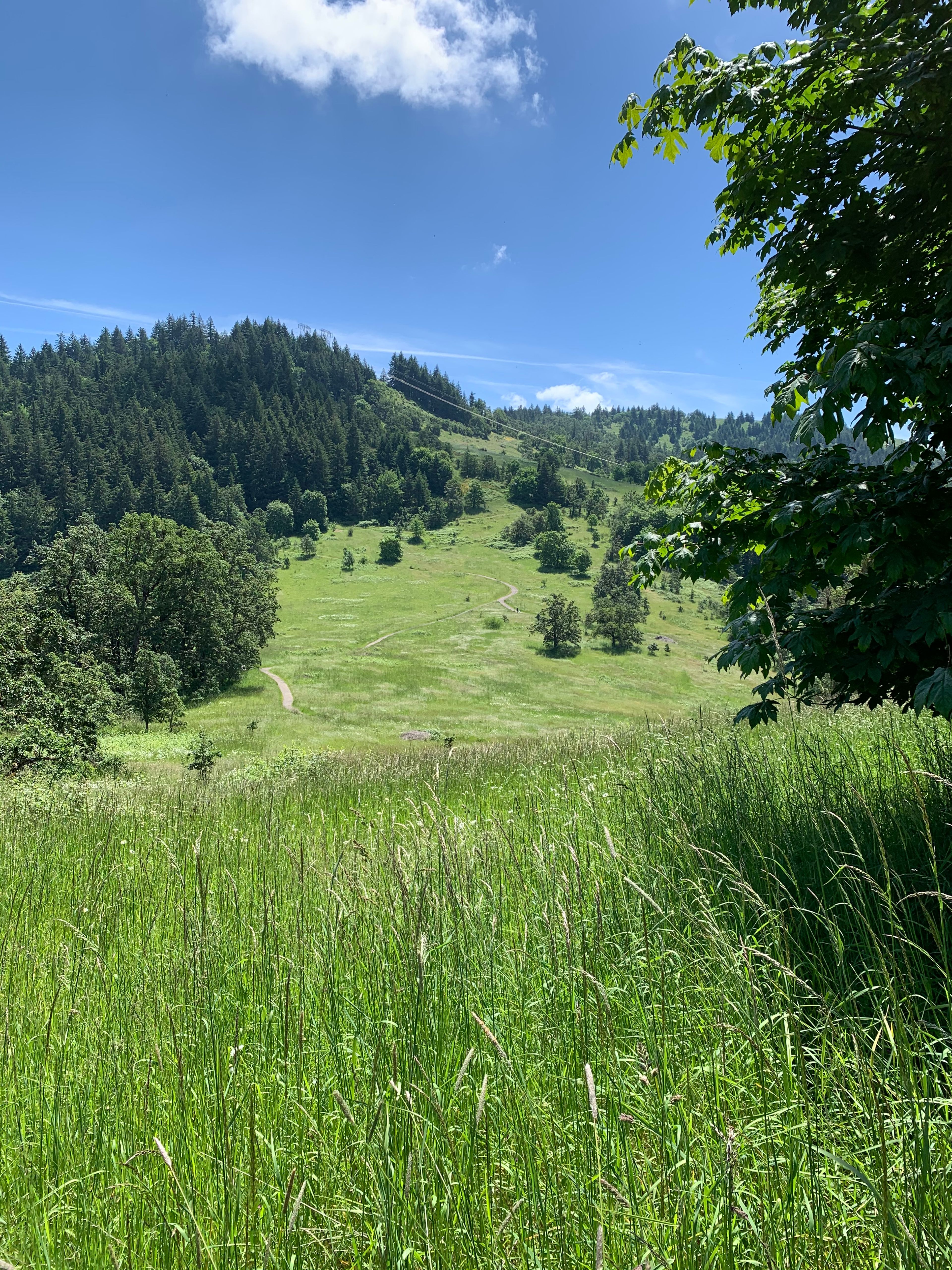 View from Swing Hill of the Saddle at the Top of Bridge Bowl