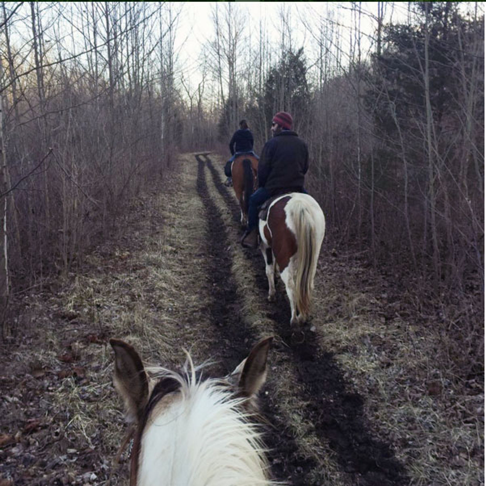 twin-creek-horse-trails.jpg