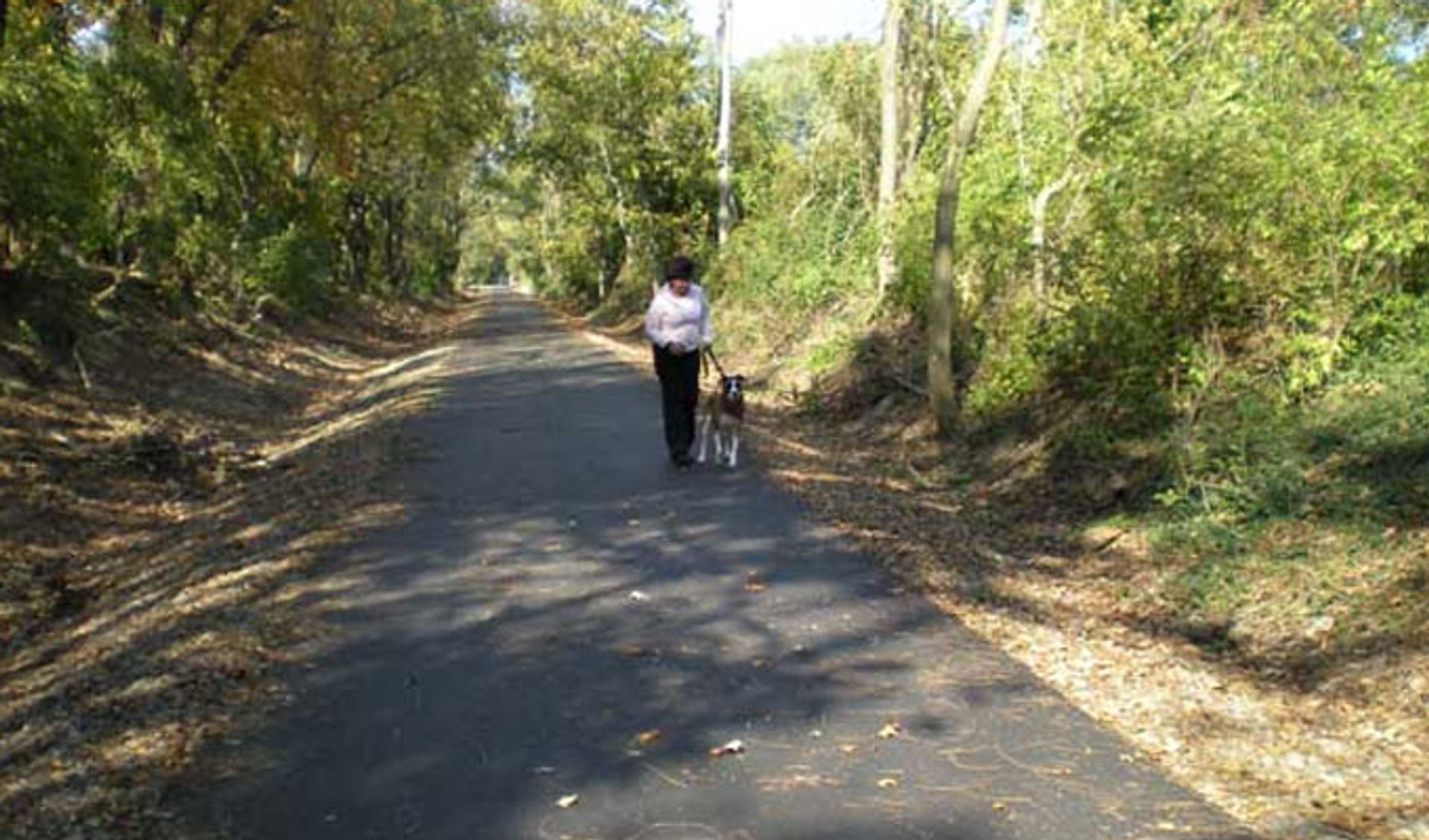 park-woodman-fen-iron-horse-trail.jpg