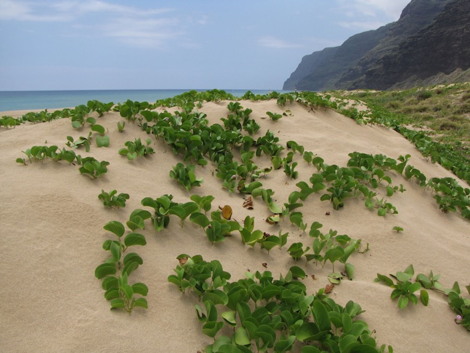 Polihale State Beach Park