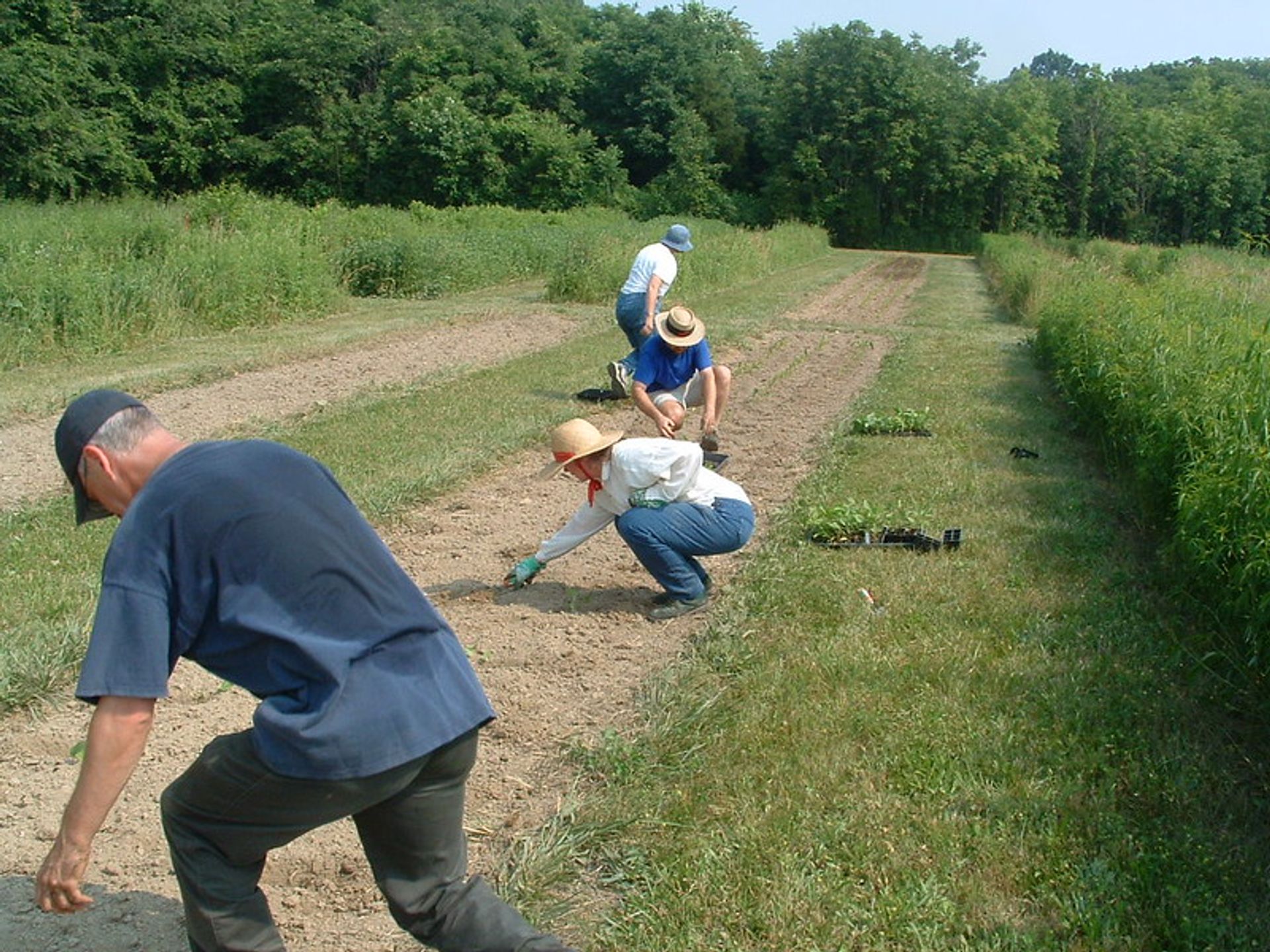 seed-nursery2.jpg