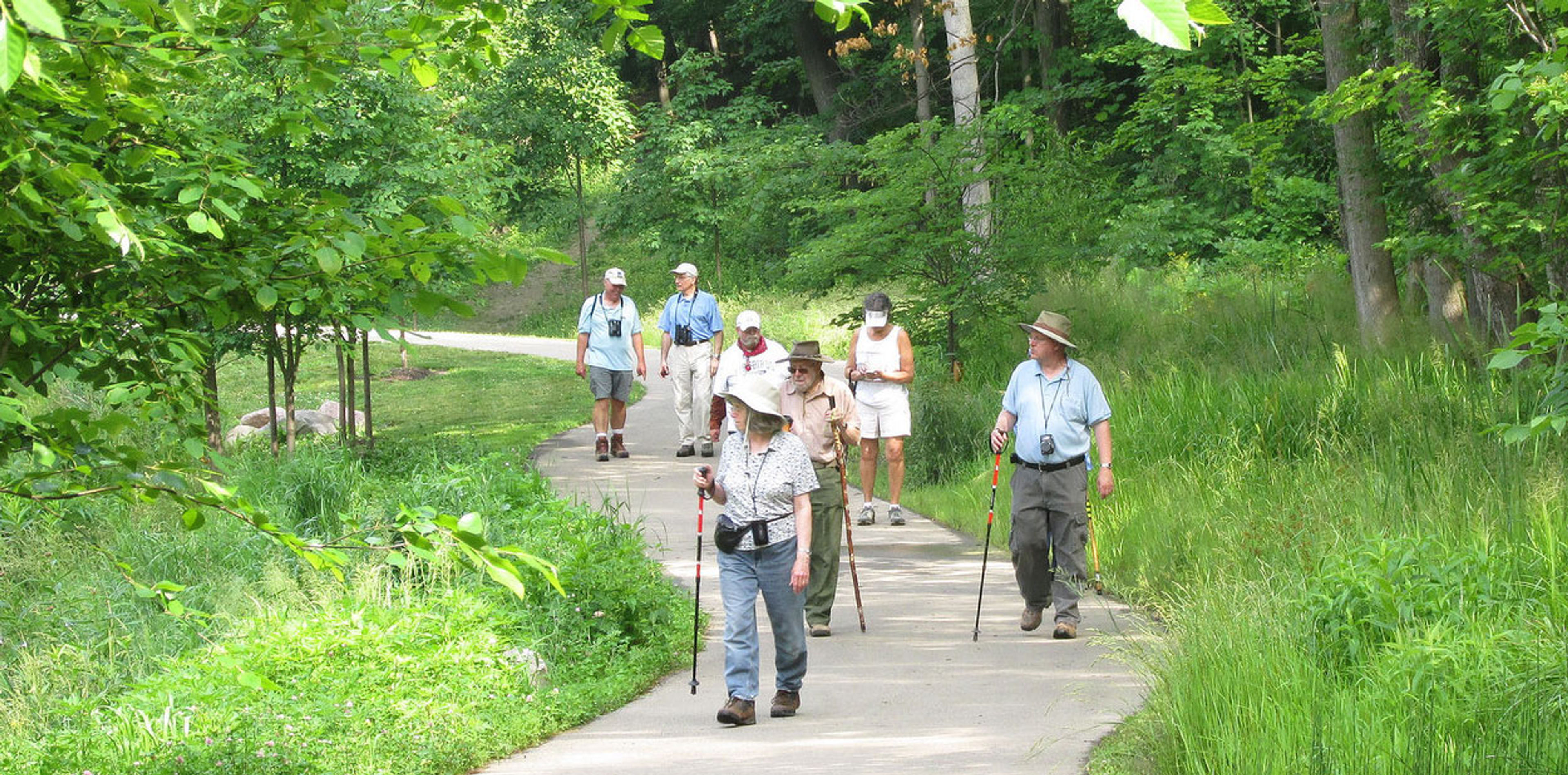 activity-hiking-slider-group-hills-dales.jpg