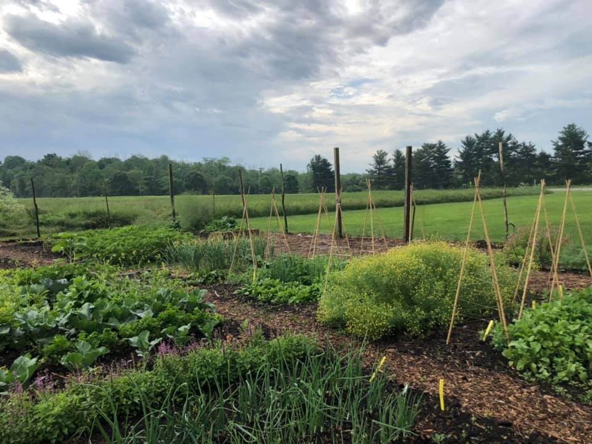 demonstration-garden.jpg