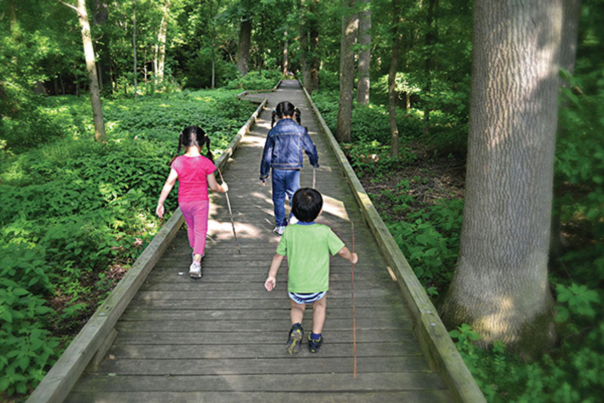 aull-boardwalk.jpg