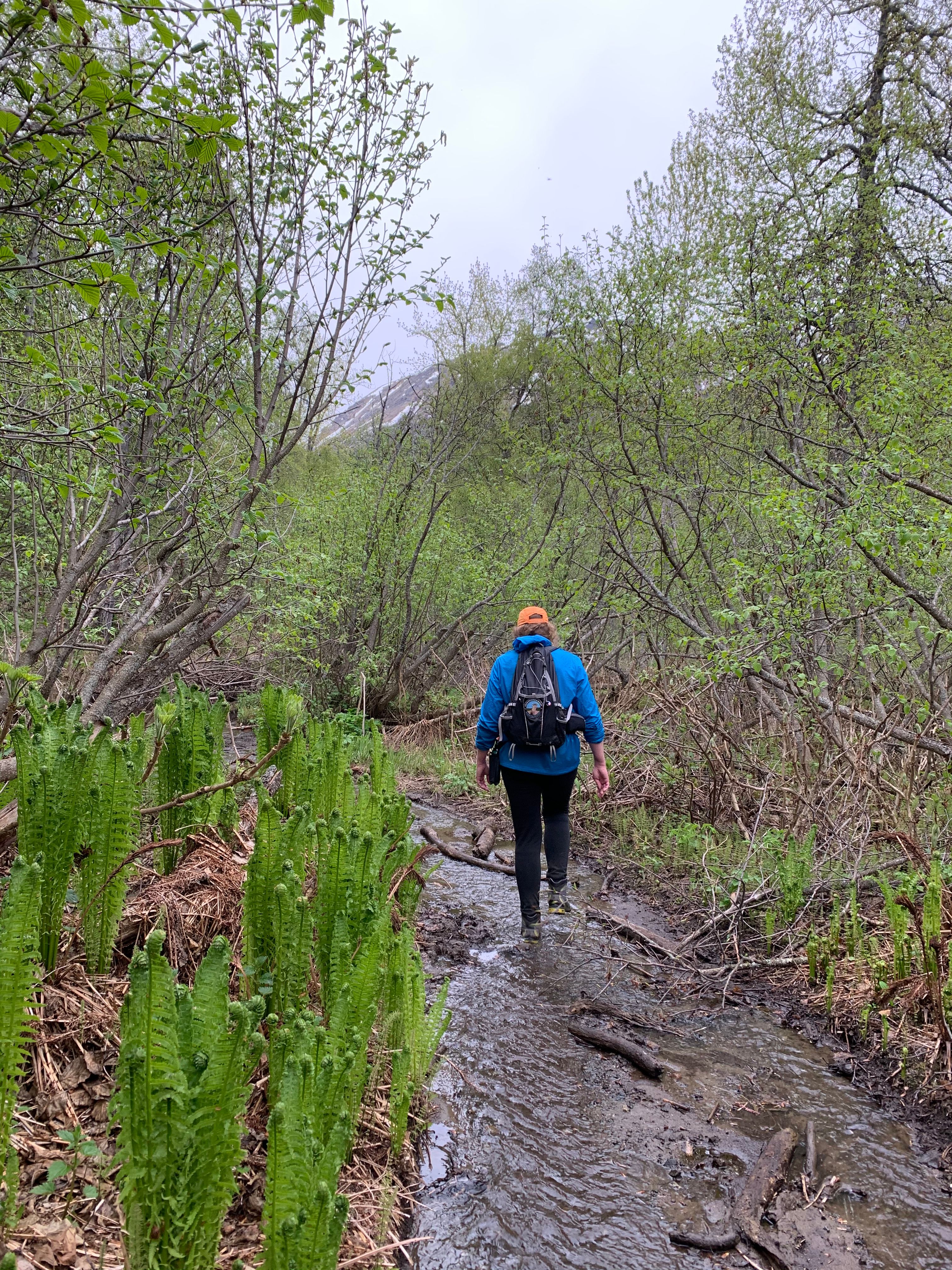 Wolverine Creek - Trails - OuterSpatial