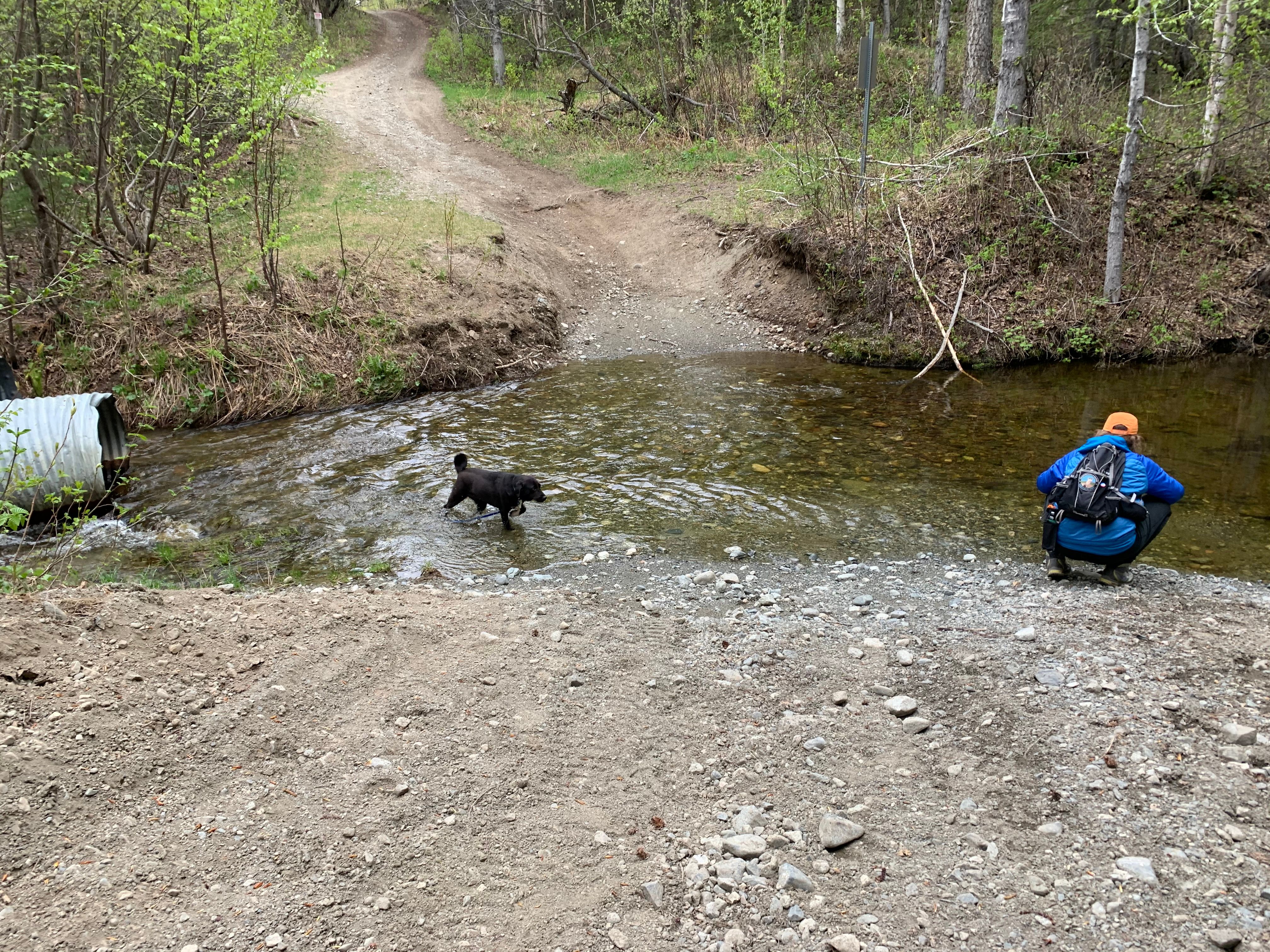 Wolverine Creek - Trails - OuterSpatial