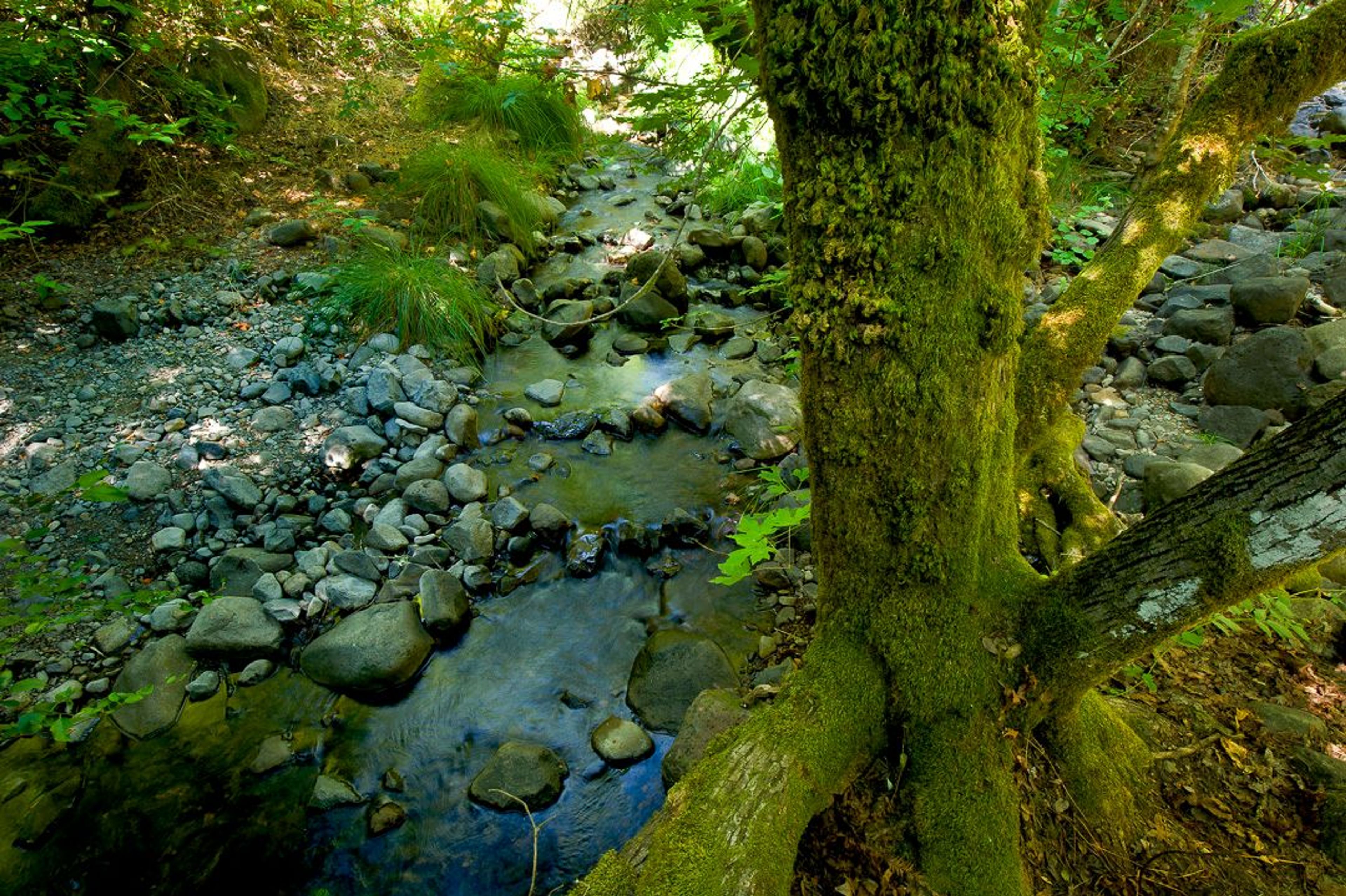 Image of California State Park