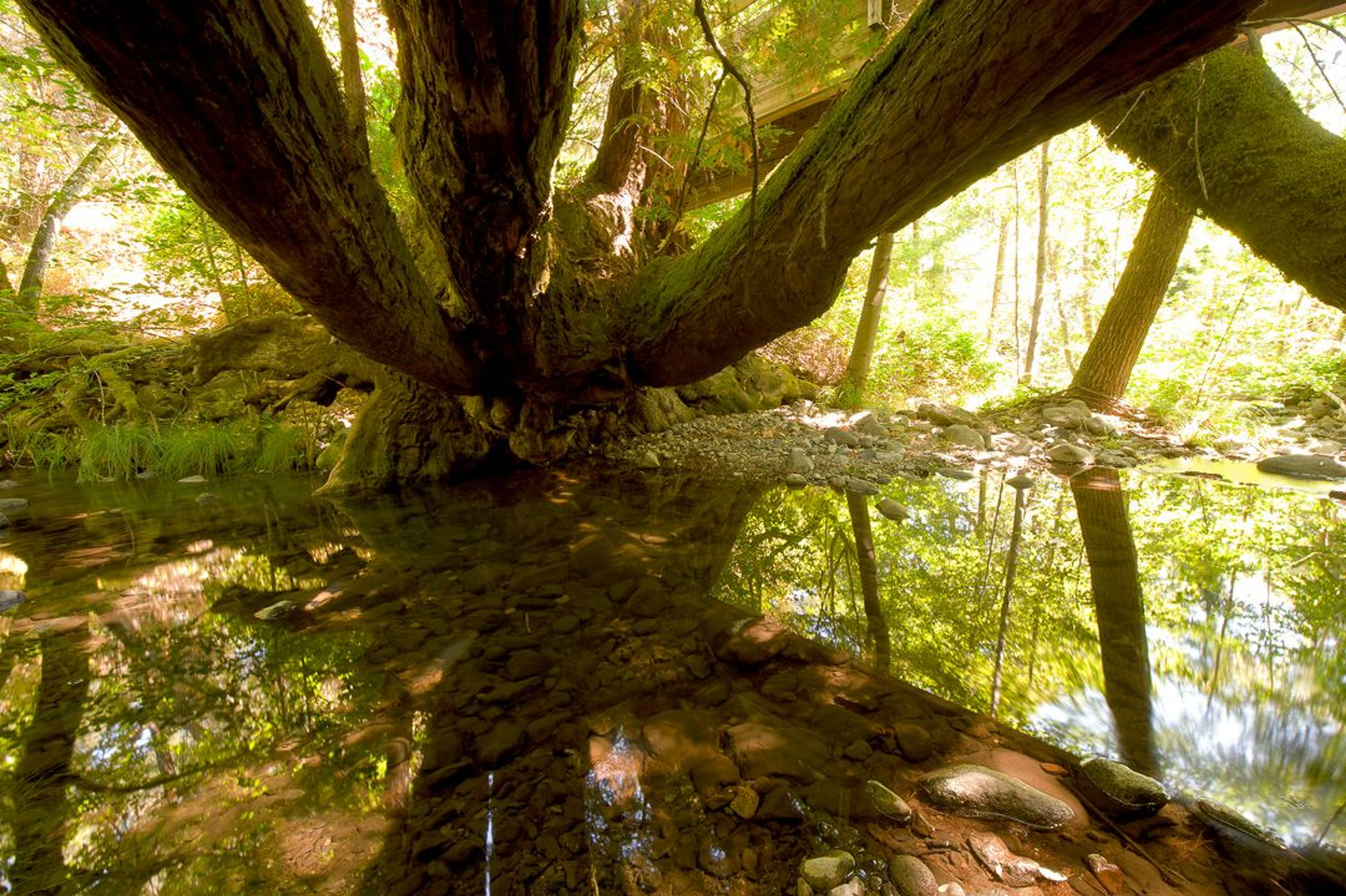 Image of California State Park