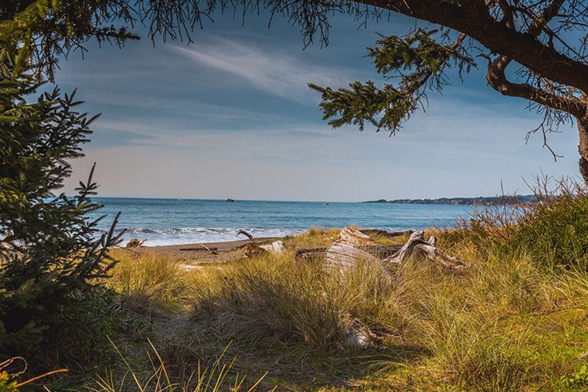 Image of California State Park