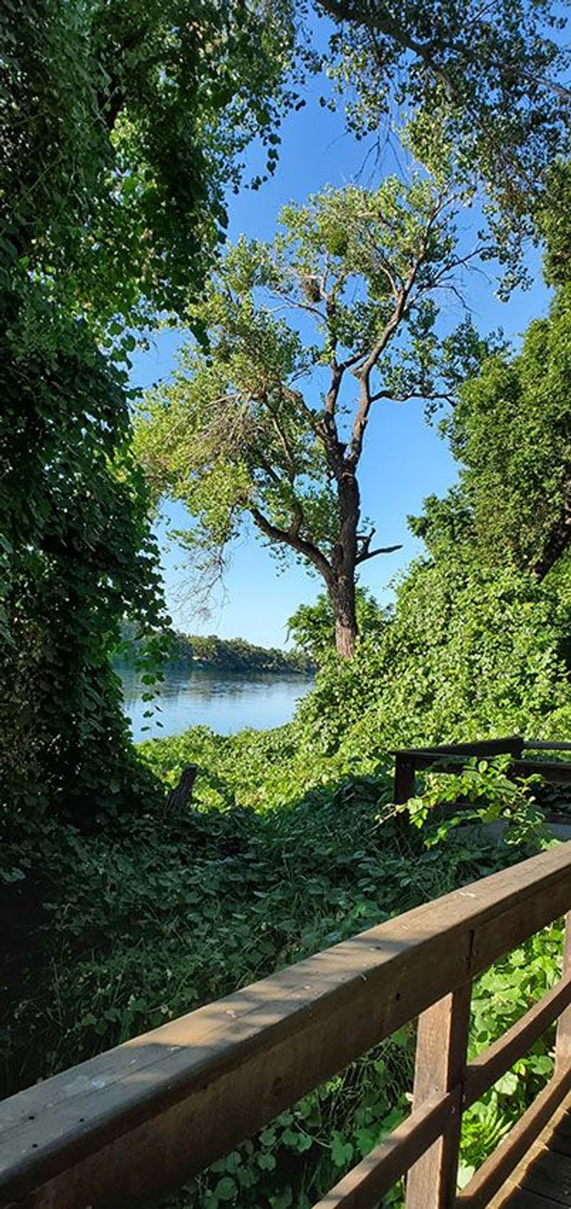 Image of California State Park