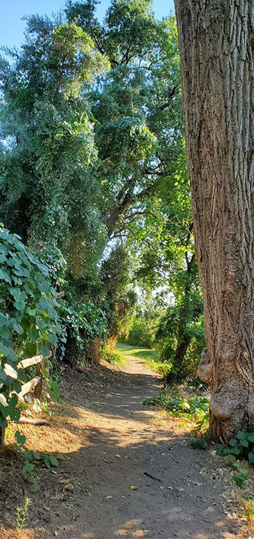 Image of California State Park