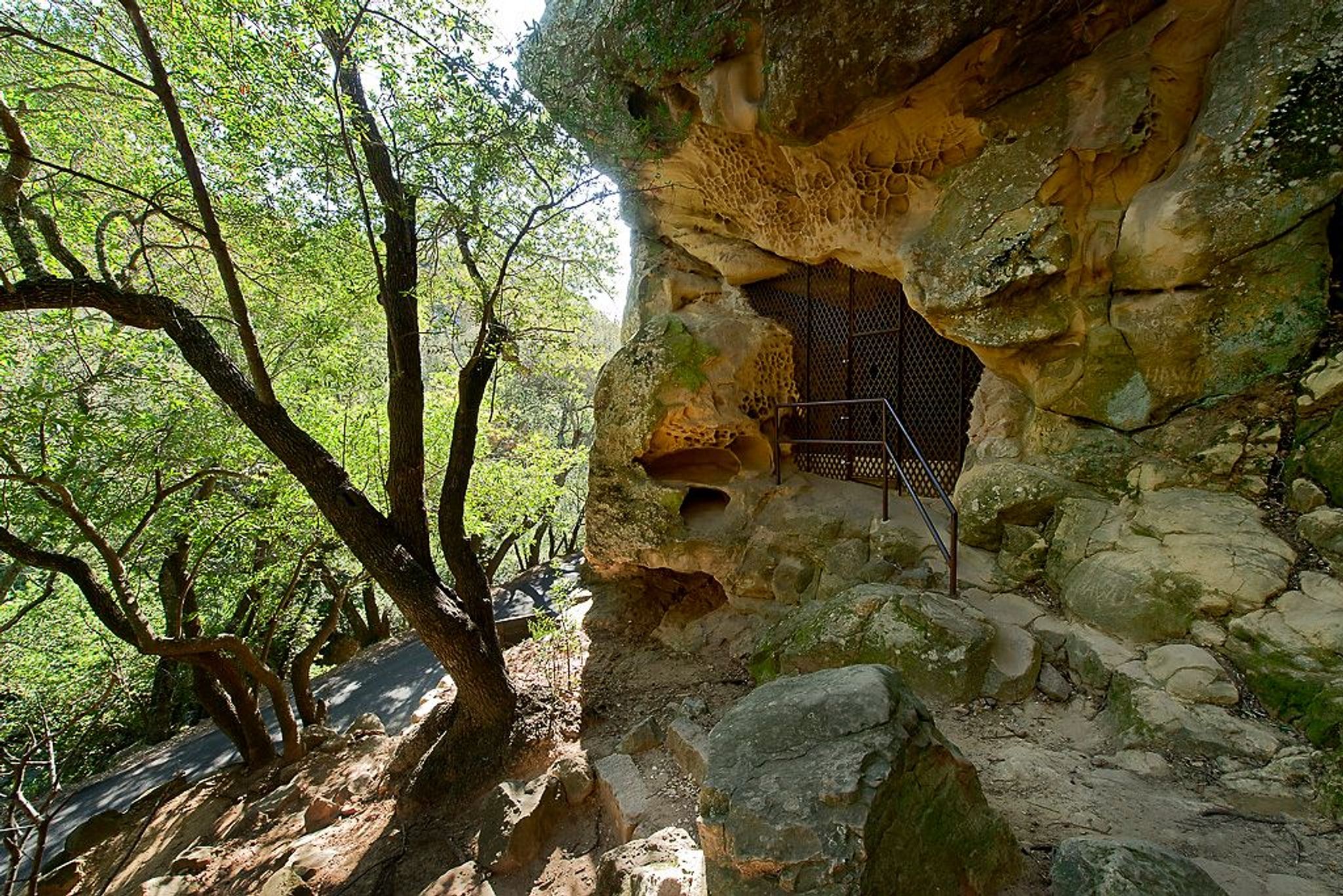 Image of California State Park