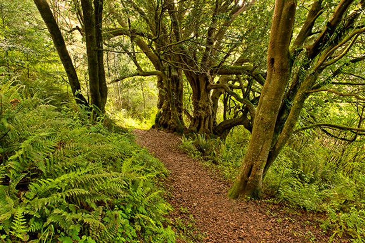 Image of California State Park