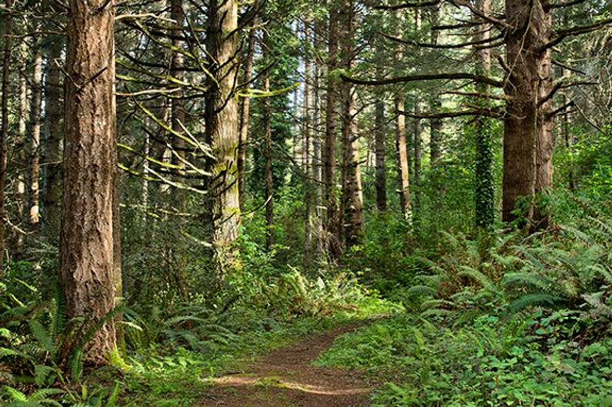 Image of California State Park