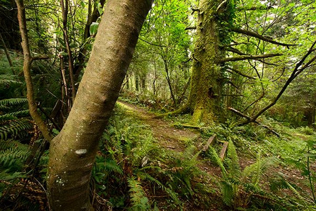 Image of California State Park