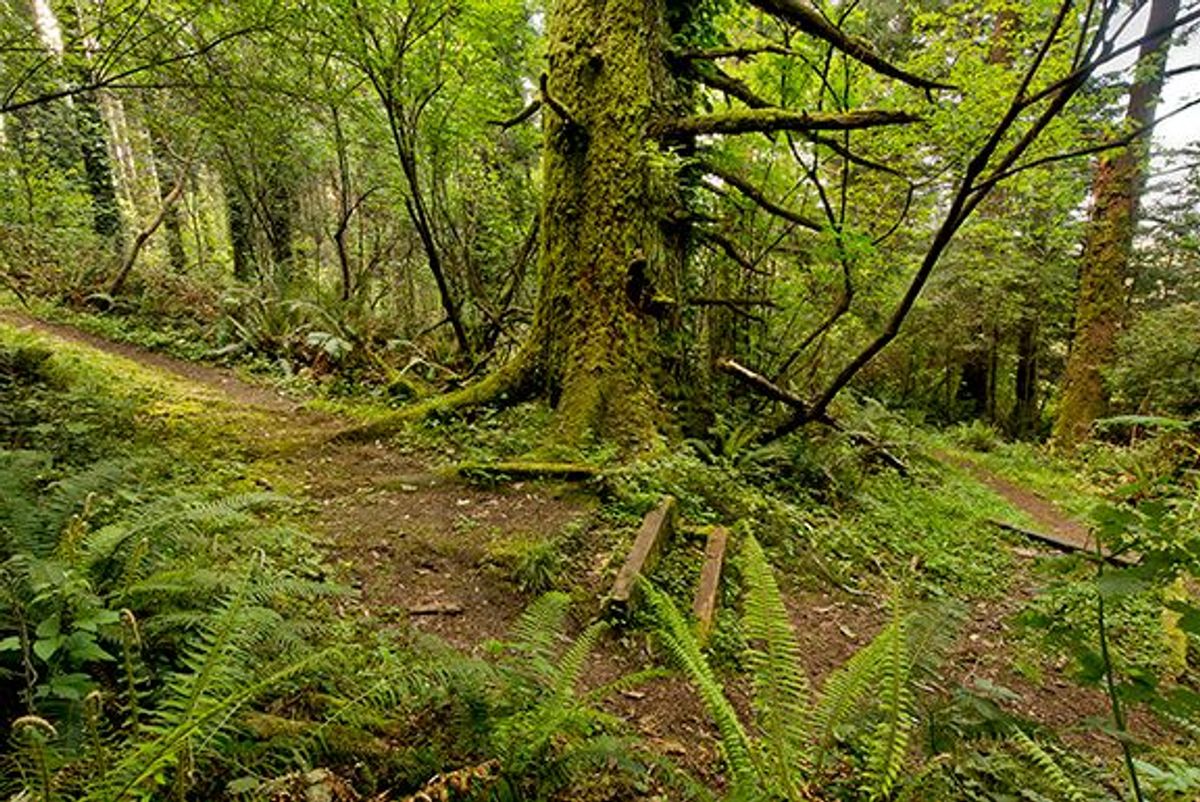 Image of California State Park