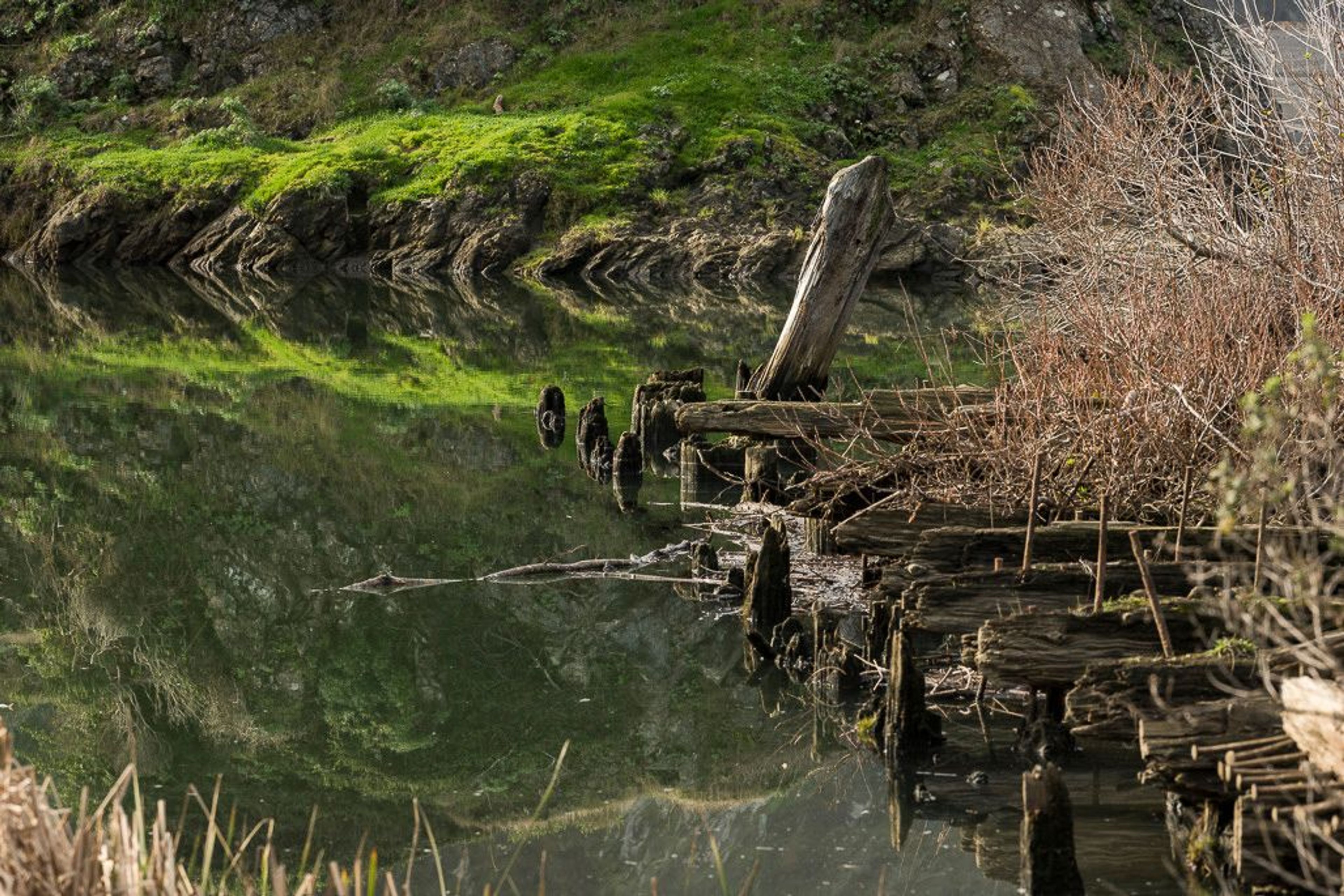 Image of California State Park